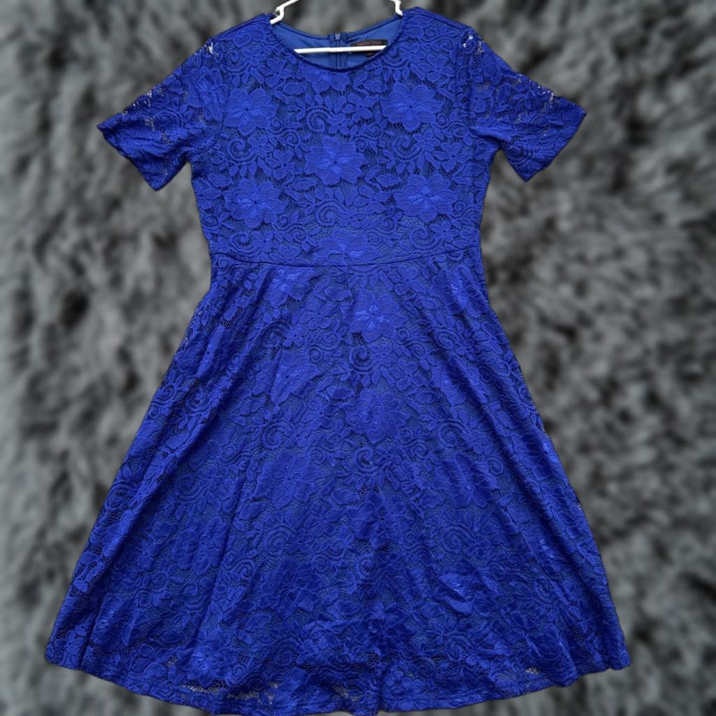 Vintage Dress 3XL Lace Romantic Feminine Coquette Chic Sheer Floral Fit Flare 2010s Size XXL / US 16-18 / IT 52-54 - 1 Thumbnail