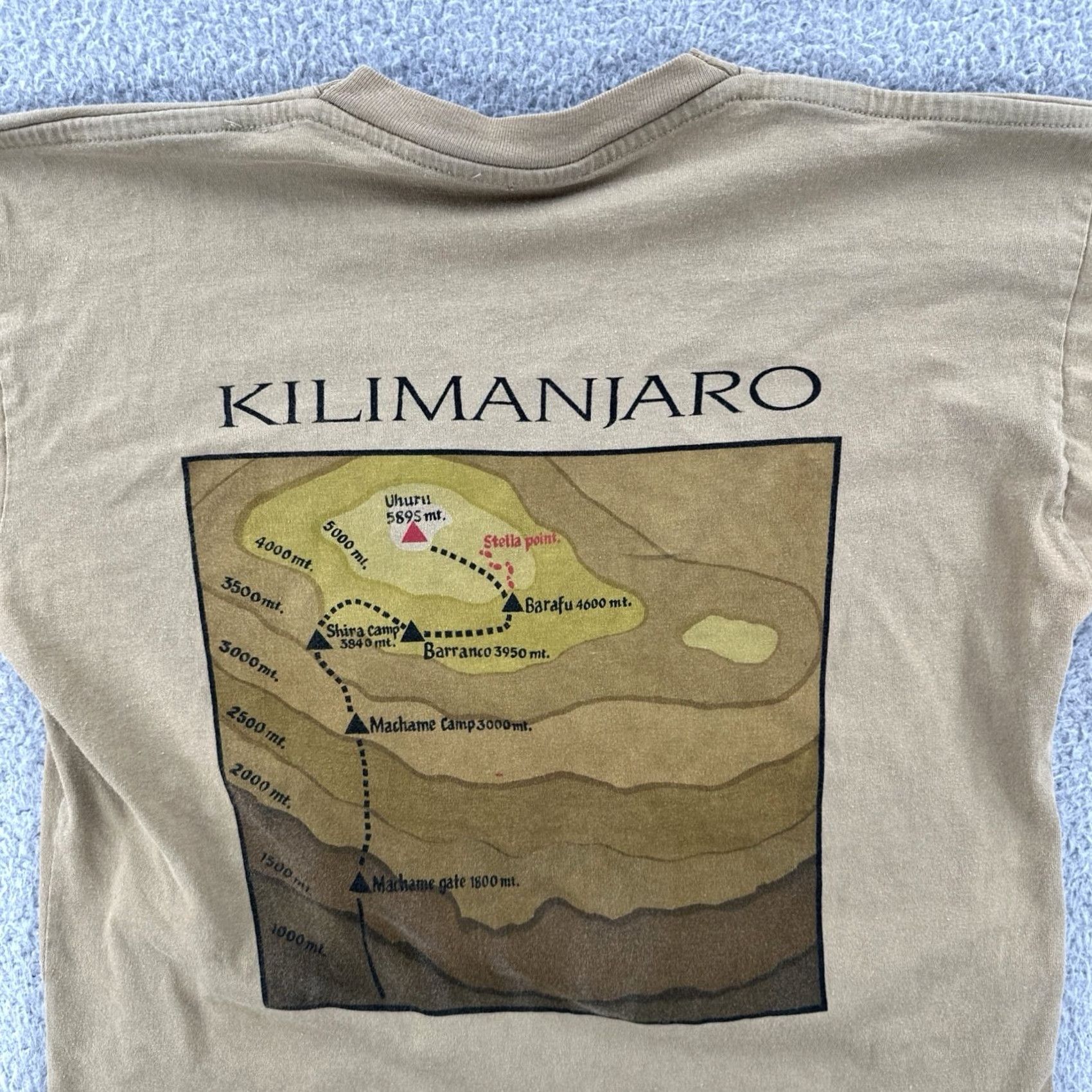Vintage VINTAGE Kilimanjaro Men’s Small Brown T Shirt Mount Kilimanjaro Africa Shirt Mens Short Sleeve Crew Neck 90s Outdoor Africa Brown Size US S / EU 44-46 / 1 - 2 Thumbnail