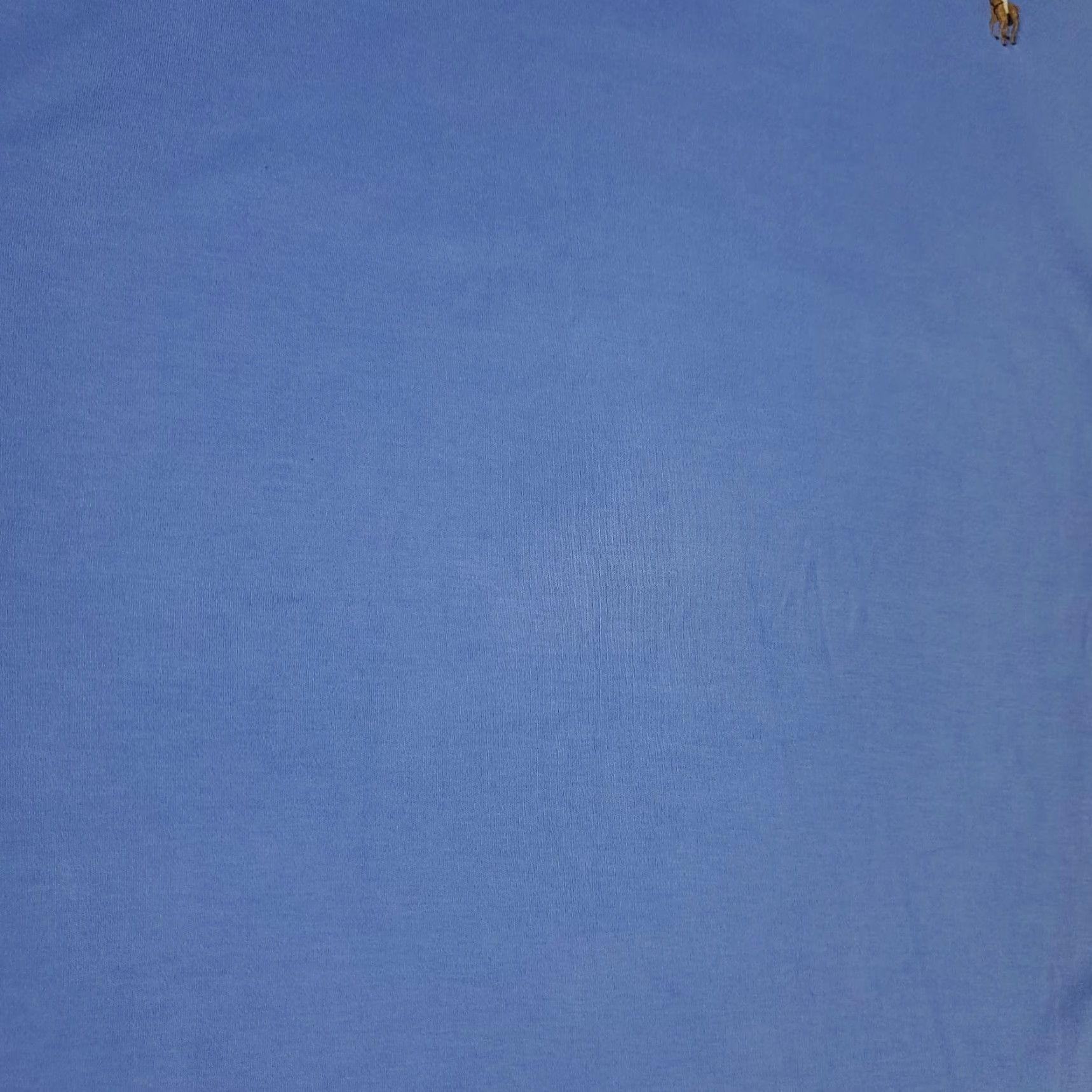 Ralph Lauren Ralph Lauren Polo Shirt Mens XL Blue Casual Short Sleeve Activewear Size US XL / EU 56 / 4 - 4 Thumbnail