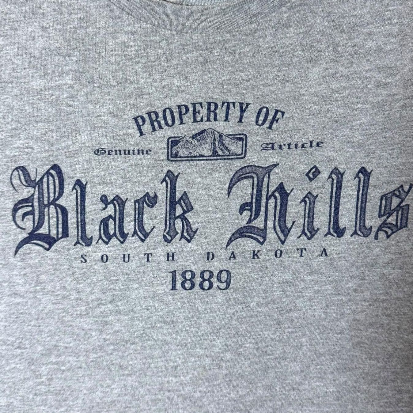 Delta Delta Property Of Black Hills USA Tourist Spellout Graphic Grey T-Shirt XL Men Clothing Short Sleeve Round Neck Cotton USA Tourist Graphic Size US XL / EU 56 / 4 - 5 Thumbnail