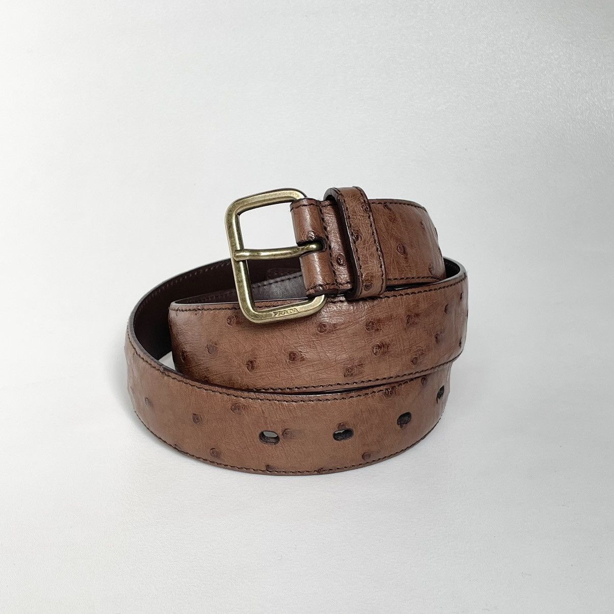 Pre-owned Prada 3cm Brown Ostrich Leather Belt