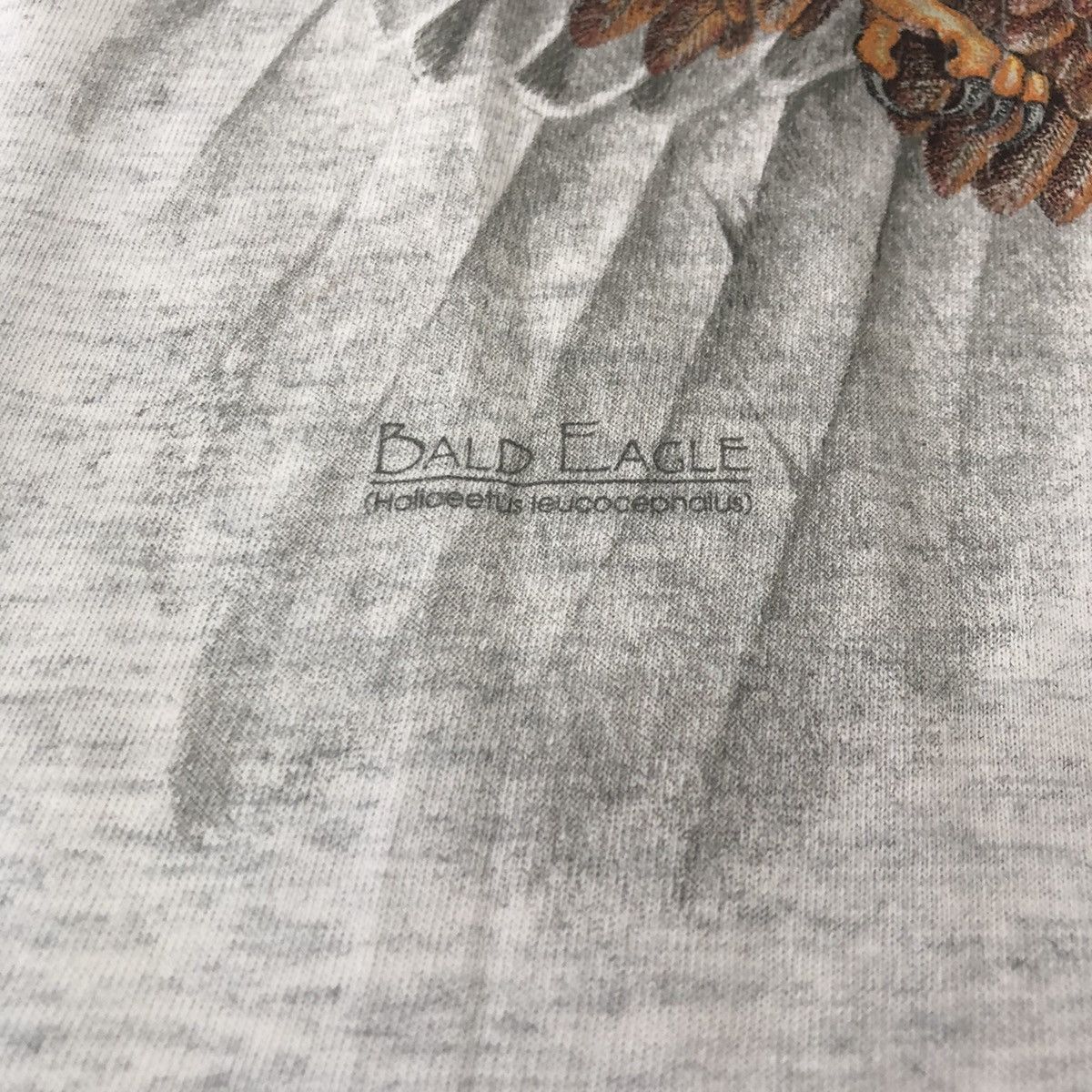 Vintage Vintage Hazelwoods Bald Eagle Tee Size US L / EU 52-54 / 3 - 3 Thumbnail