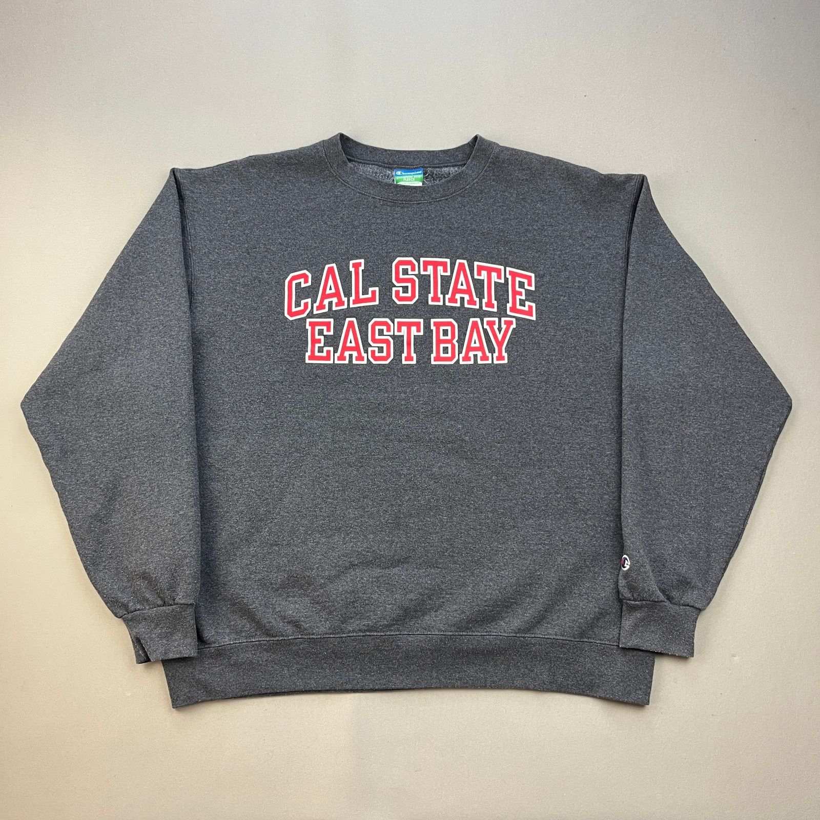 Eastbay champion hoodie hotsell