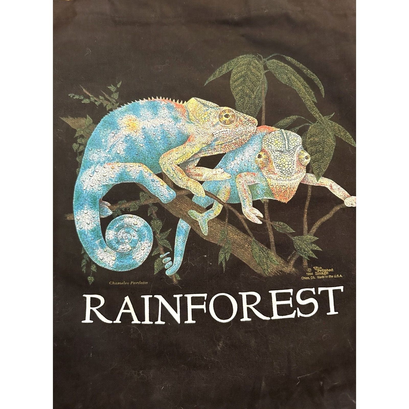 Vintage VINTAGE 1994 Rainforest Chameleo Pardatis Canvas ToteBag Black 18”x18” Tote Womens Canvas Bag Size ONE SIZE - 4 Thumbnail