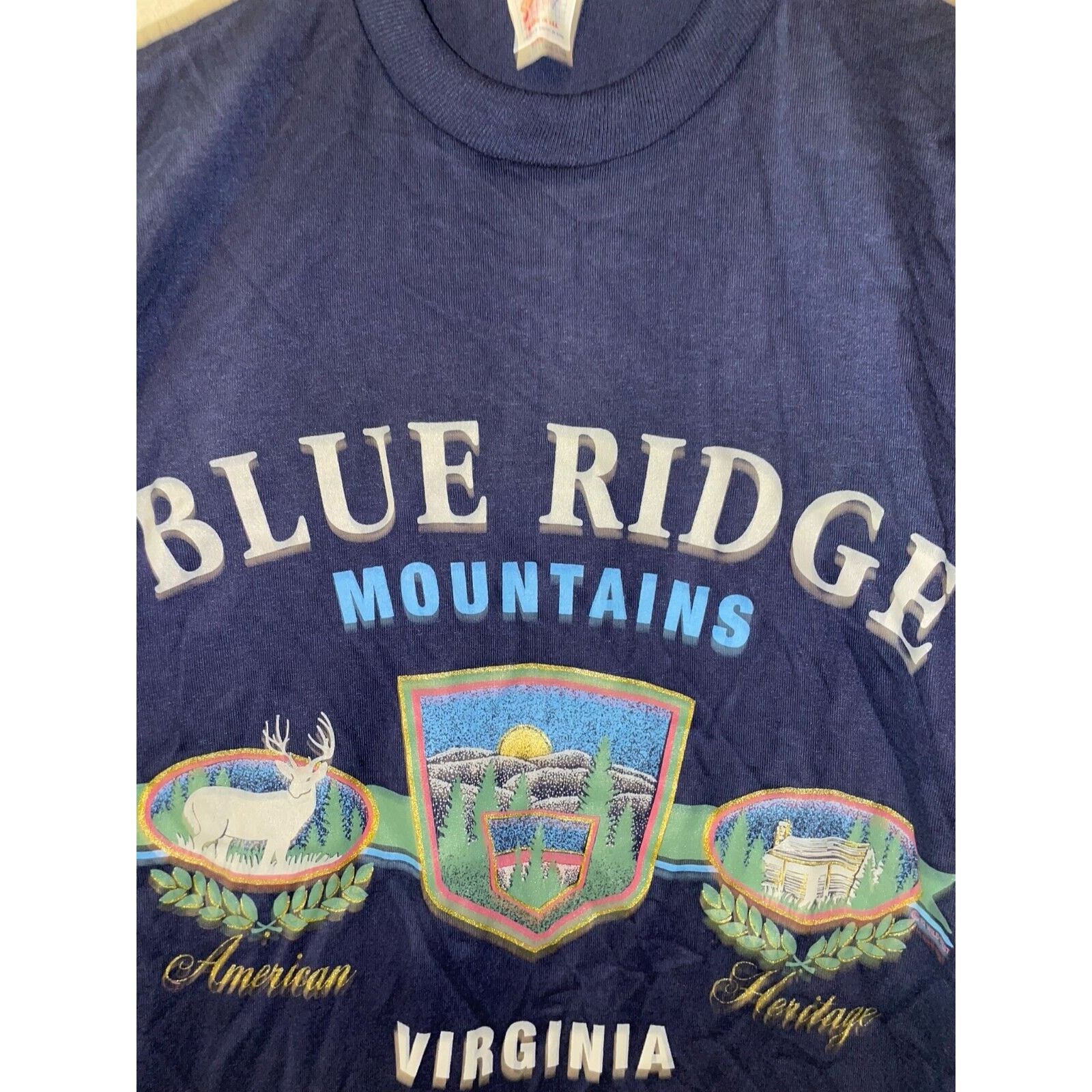 Jerzees Vintage Blue Ridge Mountains Shirt VA Virginia Tee 90s M Size US M / EU 48-50 / 2 - 5 Thumbnail