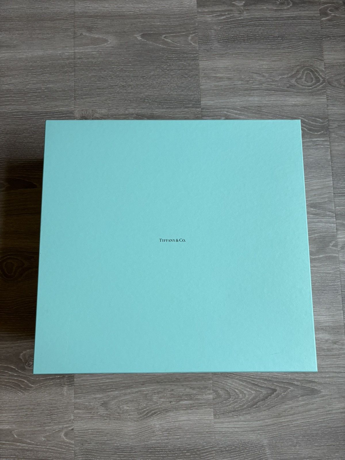 Tiffany & Co Travel Bag