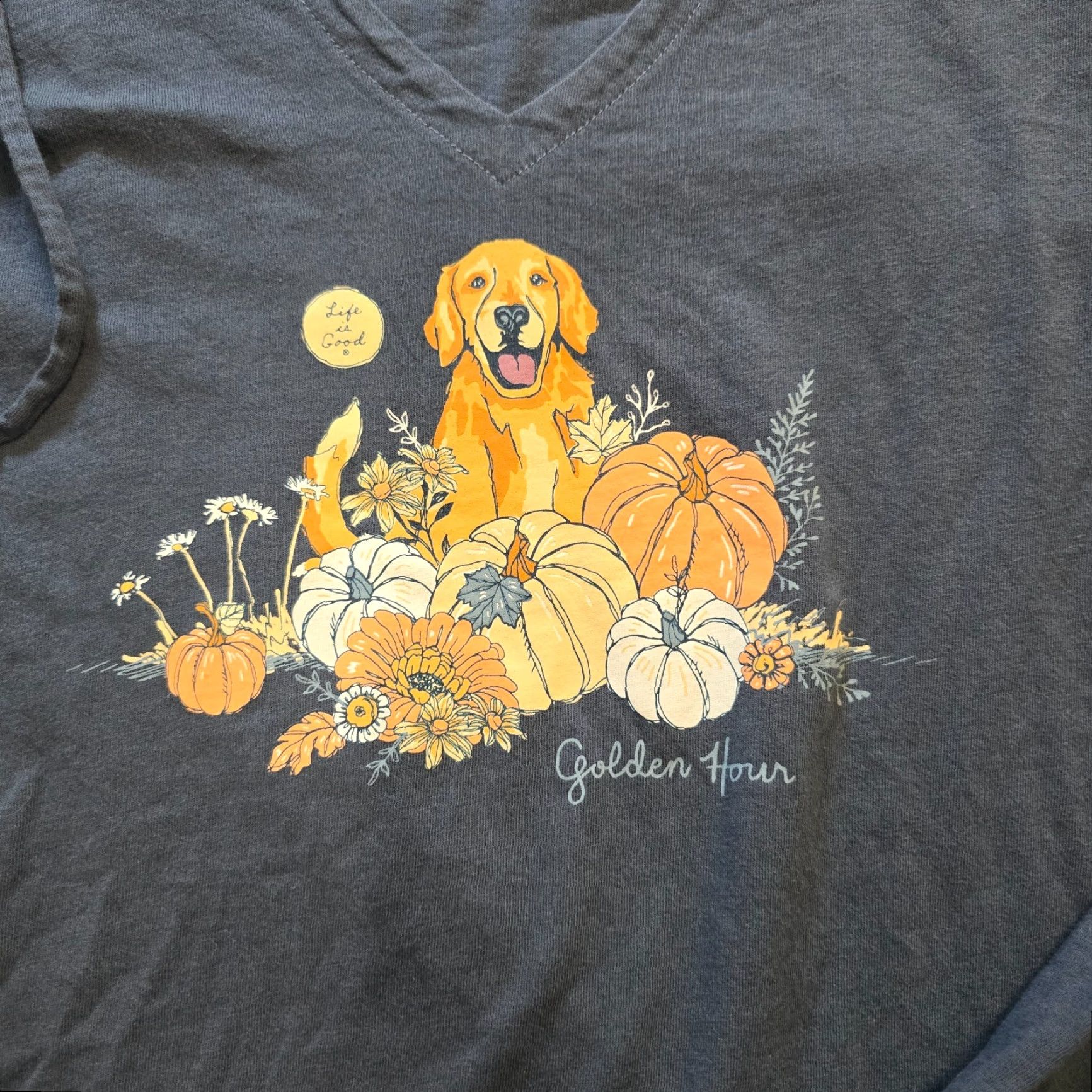 Life is Good Life is Good Top Womens S Blue Dog Golden Retriever Pumpkin Hood Casual Shirt Womens S Blue Dog Golden Retriever Pumpkin Hood Casual Shirt Size S / US 4 / IT 40 - 3 Thumbnail
