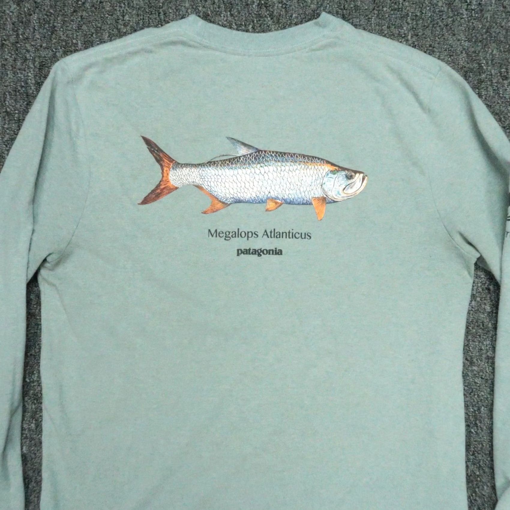 Patagonia Patagonia Shirt Mens XS Blue Long Sleeve Tarpon World Trout Megalops Atlanticus Crew Neck Size US XS / EU 42 / 0 - 7 Thumbnail