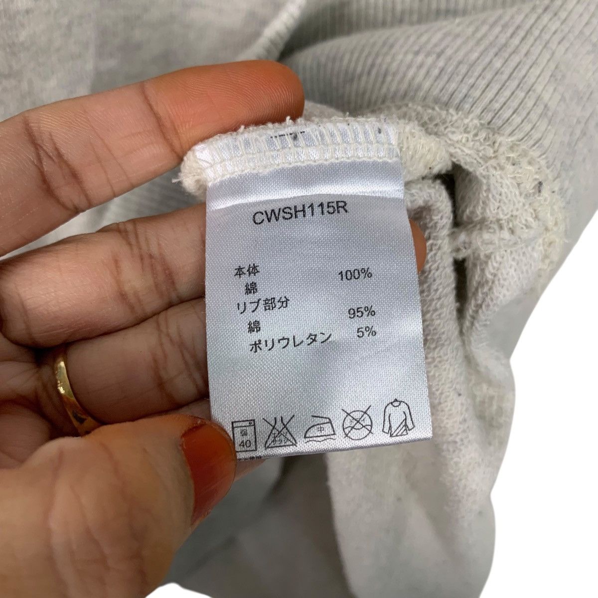 Champion CHAMPION California Cogswell Pullover Hoodie #3640-C166 Size M / US 6-8 / IT 42-44 - 12 Thumbnail