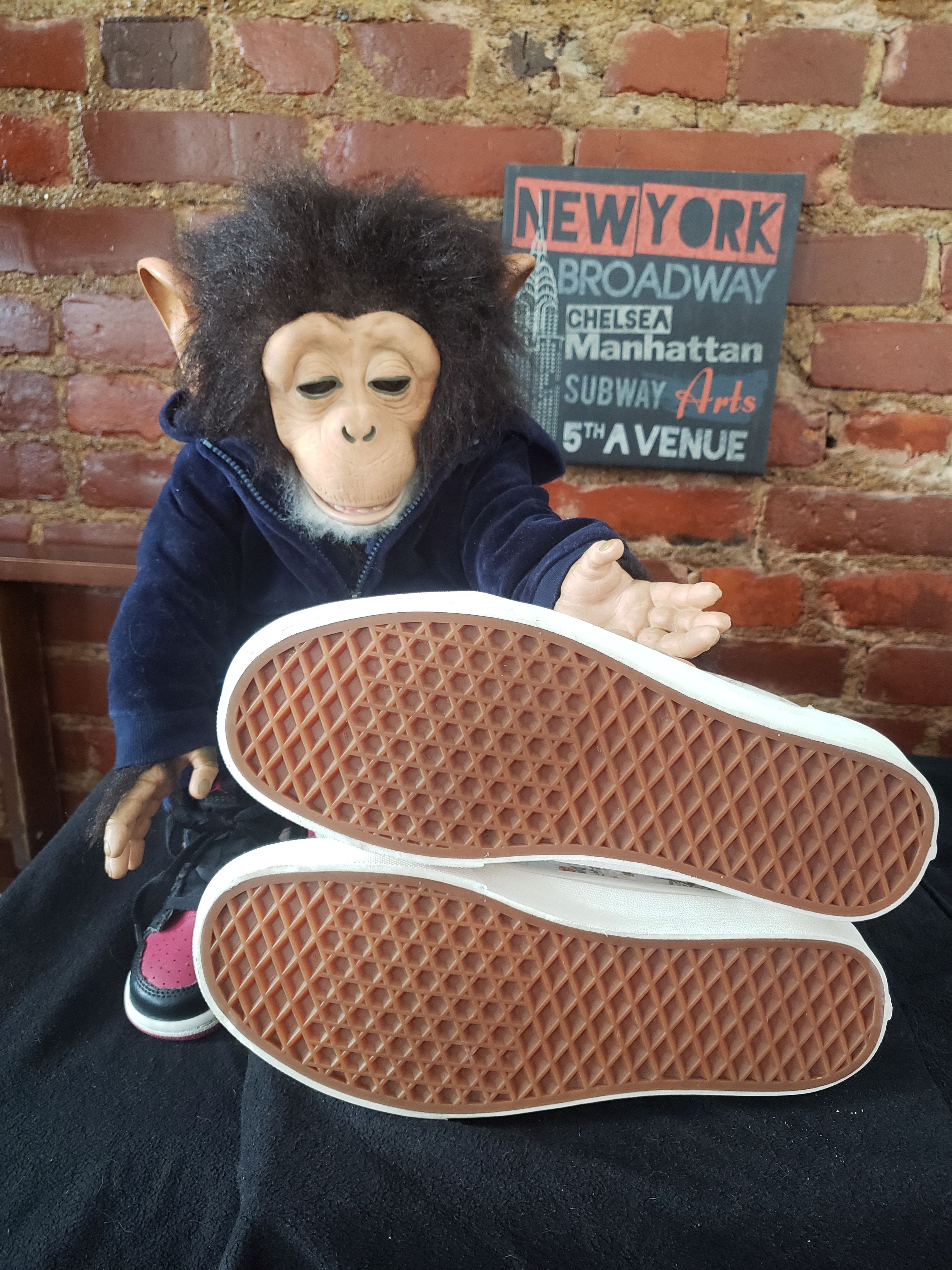Vans Vans Canvas Size US 7.5 / EU 40-41 - 9 Thumbnail