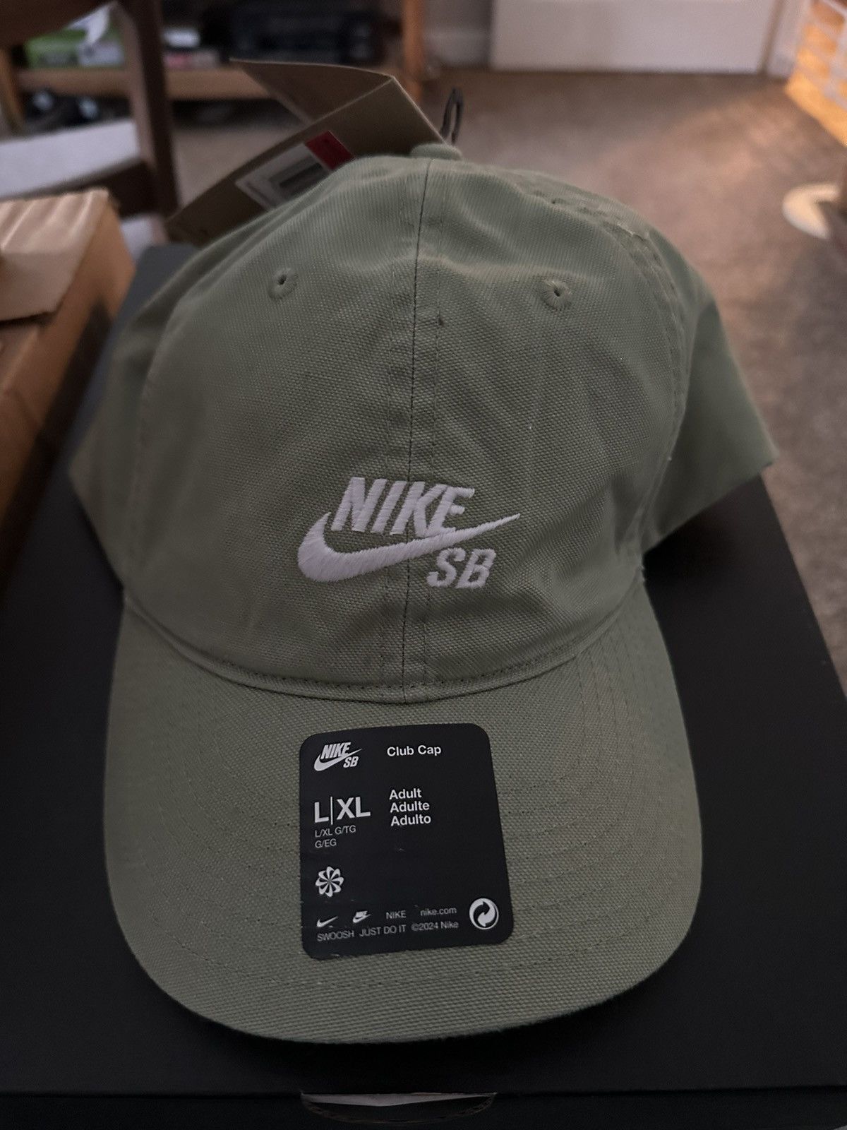 Nike Nike SB 6 Panel Green L/XL Size ONE SIZE - 1 Preview