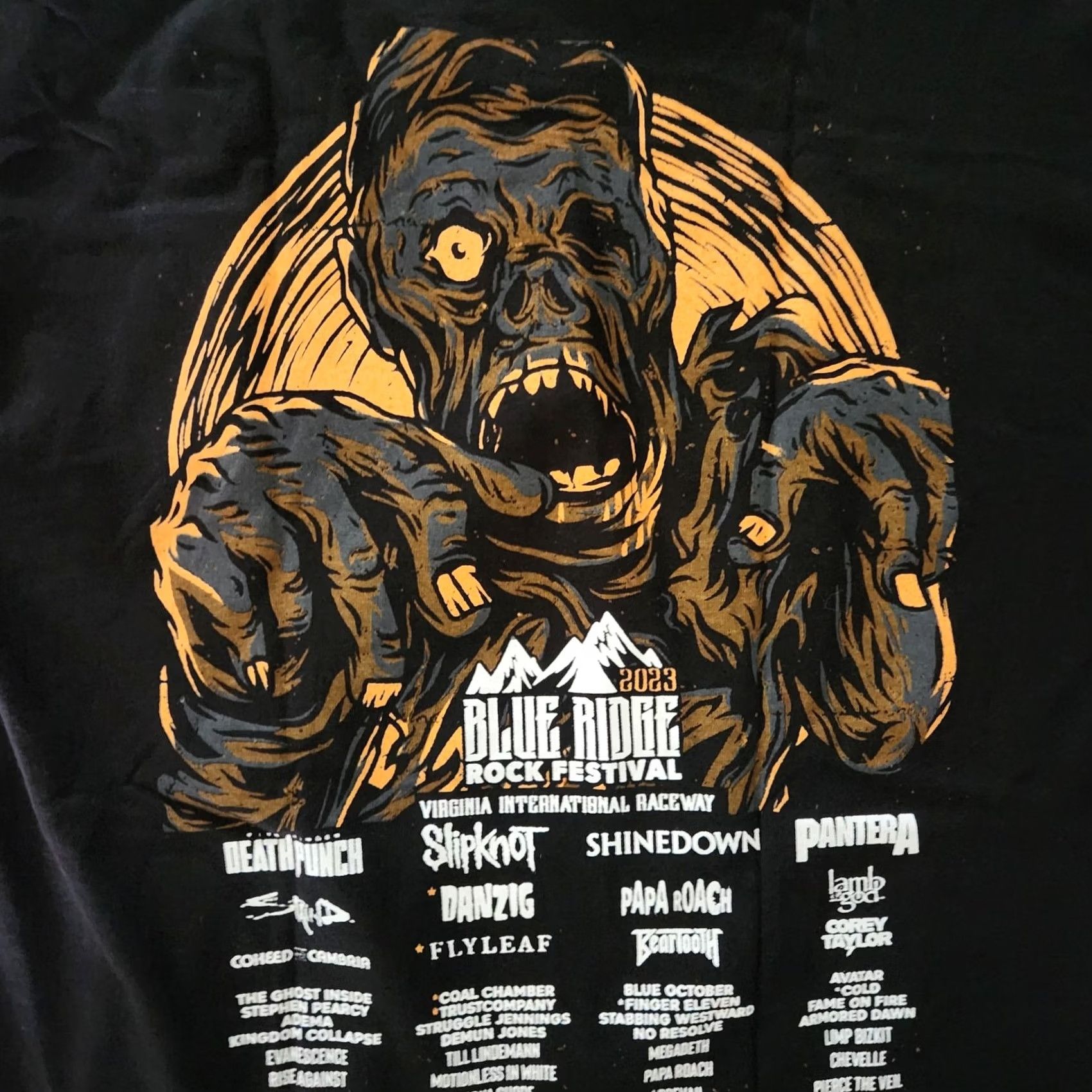 Vintage VINTAGE? No — (Skip) 2023 Blue Ridge Rock Festival Concert T Shirt Black Cotton Crew Neck Short Sleeve M Men Rock T-Shirt Size US M / EU 48-50 / 2 - 2 Thumbnail