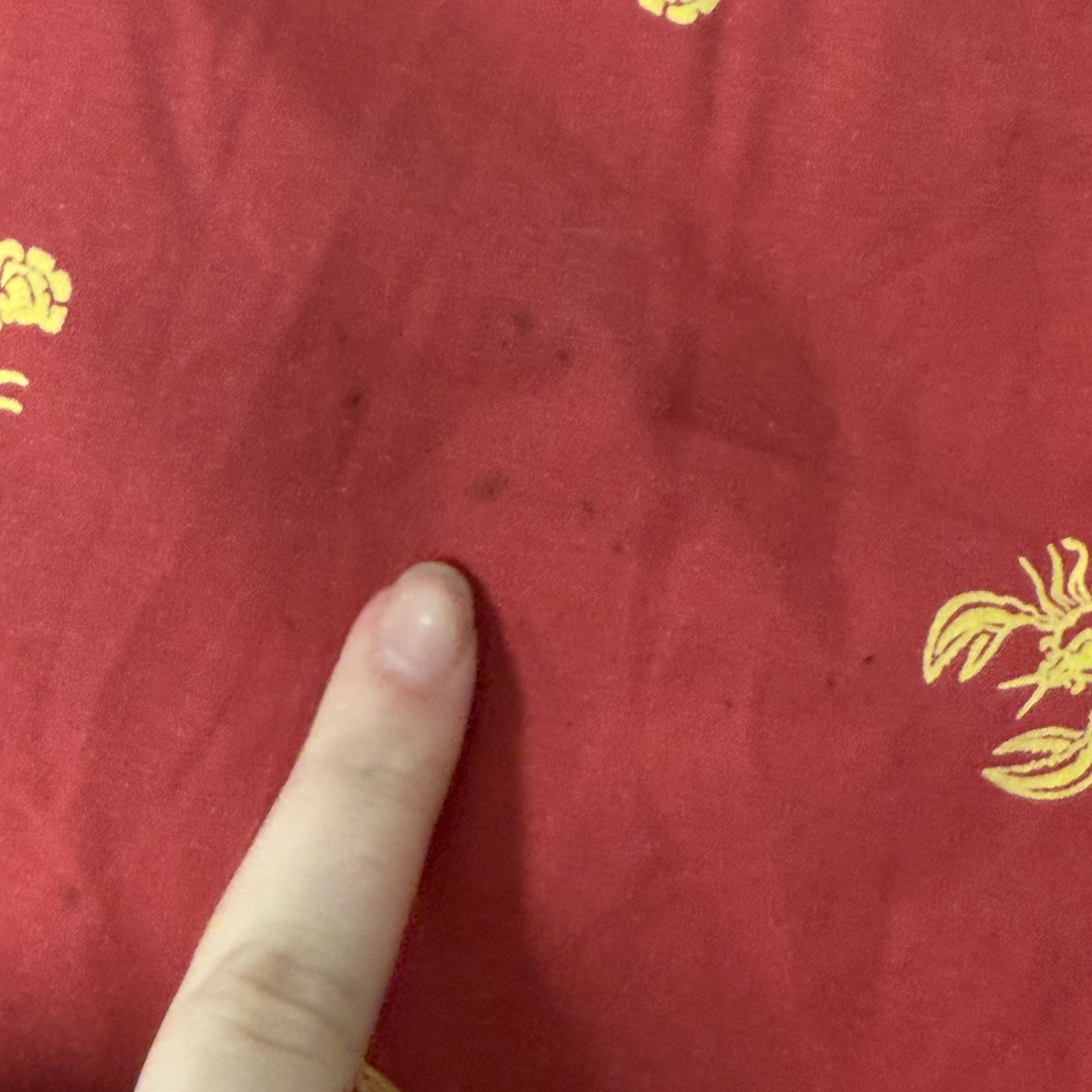 Polo Ralph Lauren Vtg Polo Ralph Lauren Red LOBSTERS CRAWFISH Swim Trunks Size US 40 / EU 56 - 9 Thumbnail