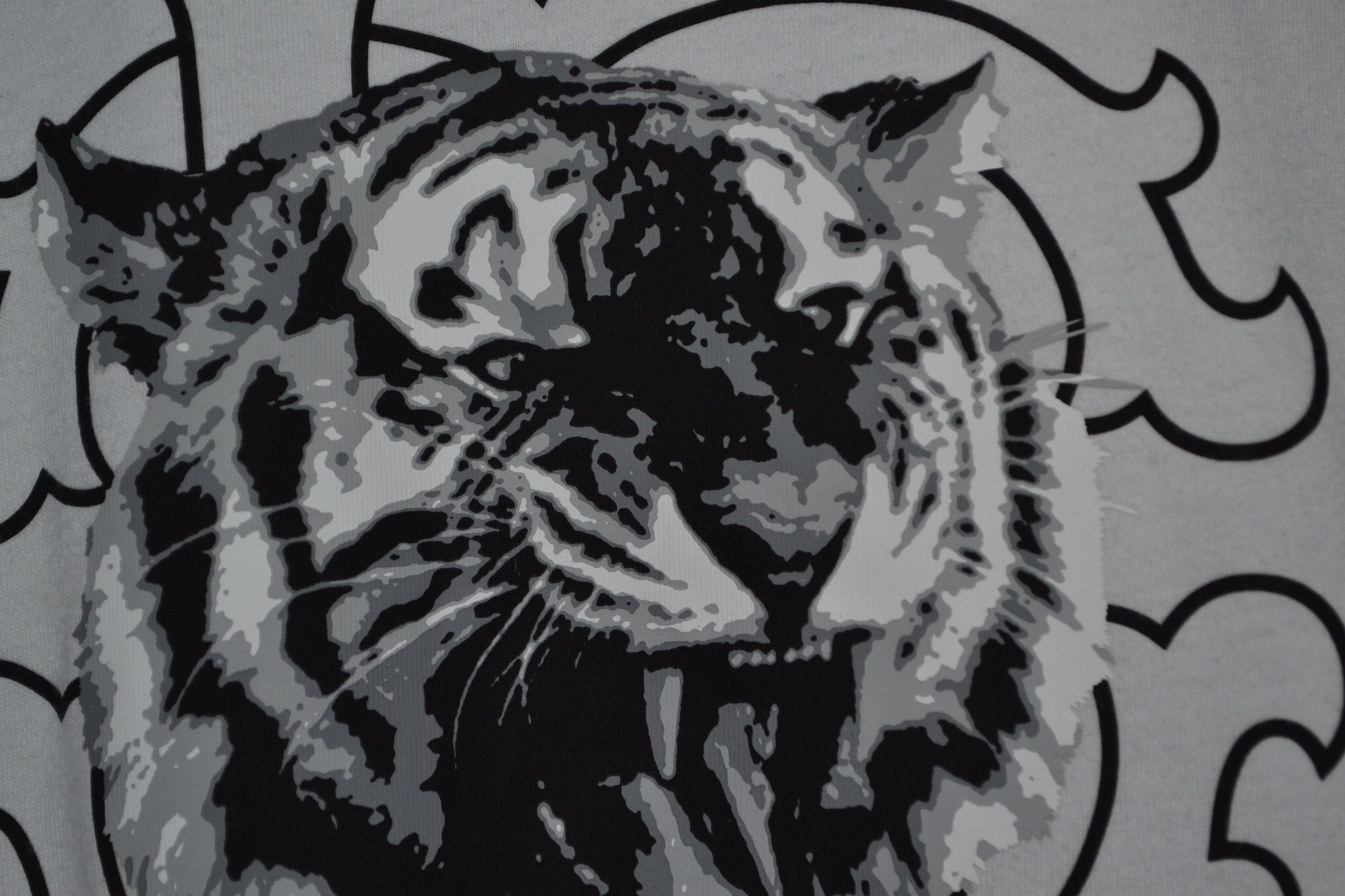 Roberto Cavalli Roberto Cavalli T-shirt with Jaguar logo and print M Size US M / EU 48-50 / 2 - 4 Thumbnail