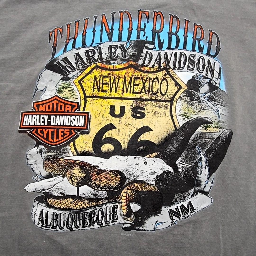 Harley Davidson Harley Davidson Route 66 Tee Thunderbird Albuquerque M Y2K Size US M / EU 48-50 / 2 - 2 Thumbnail