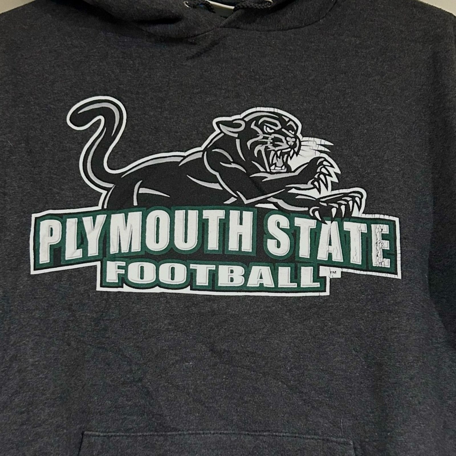 Champion Champion Plymouth State Panthers Football Hoodie Size US S / EU 44-46 / 1 - 2 Thumbnail