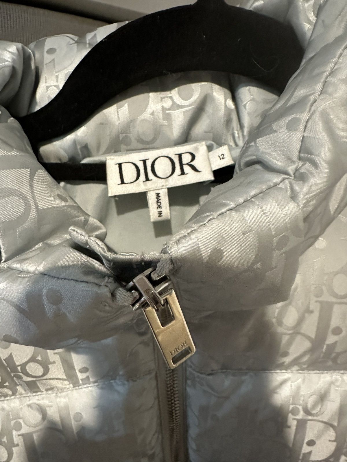 Dior Dior Oblique Hooded Down Jacket Silver-Tone Size US XXS / EU 40 - 4 Thumbnail
