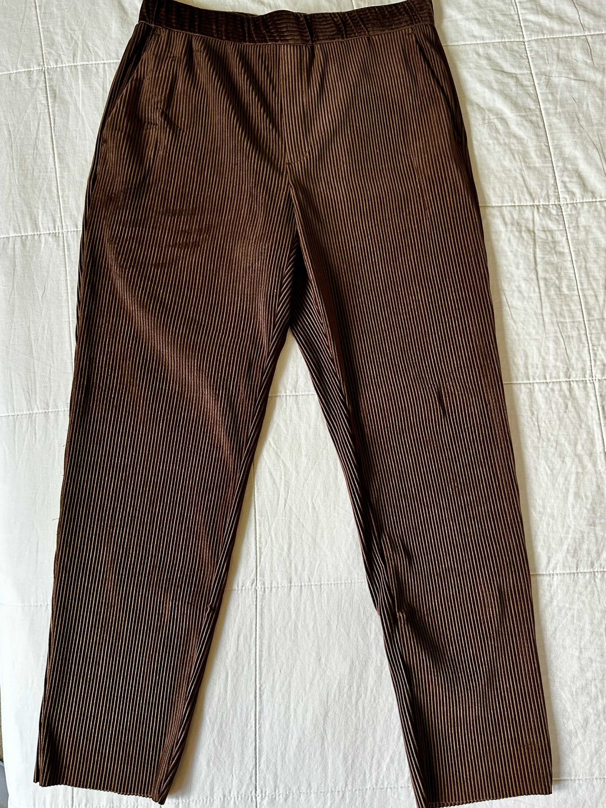 Zara Brown Pleated Pants Size US 32 / EU 48 - 1 Thumbnail