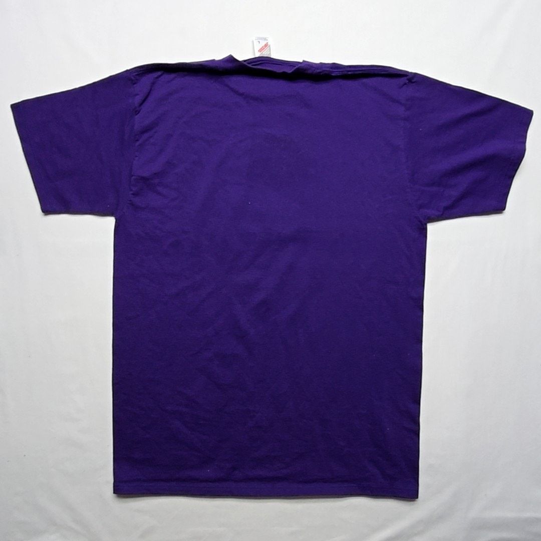Jerzees Vintage Arizona Sedona Cactus Southwestern Purple Large Tee Size L / US 10 / IT 46 - 5 Thumbnail