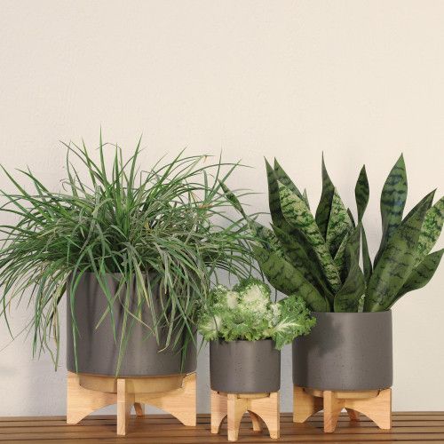 Designer × Homemade 5" PLANTER W/ WOOD STAND, MATTE GRAY Size US L / EU 52-54 / 3 - 1 Thumbnail