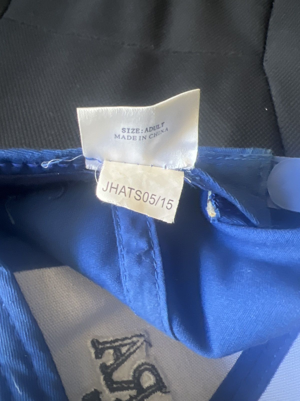 Hypebeast Delaware North Companies Niagara Falls Snapback Size ONE SIZE - 10 Thumbnail
