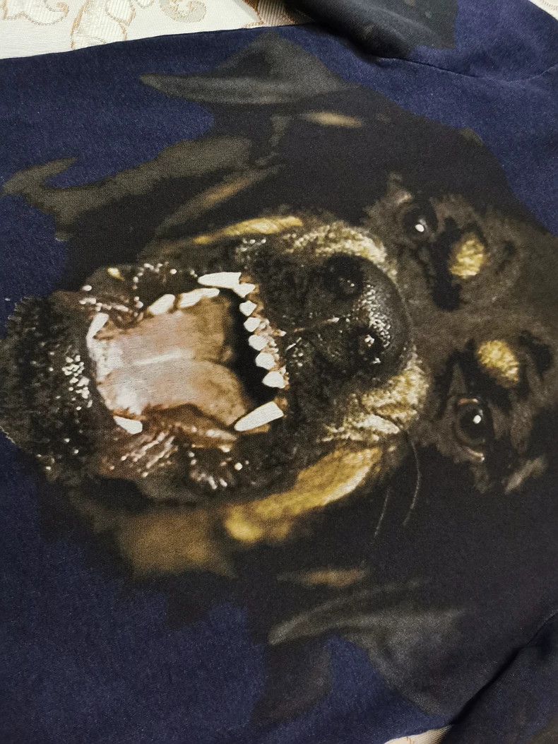 Givenchy Givenchy Dog head blue hoodie Size US M / EU 48-50 / 2 - 2 Thumbnail