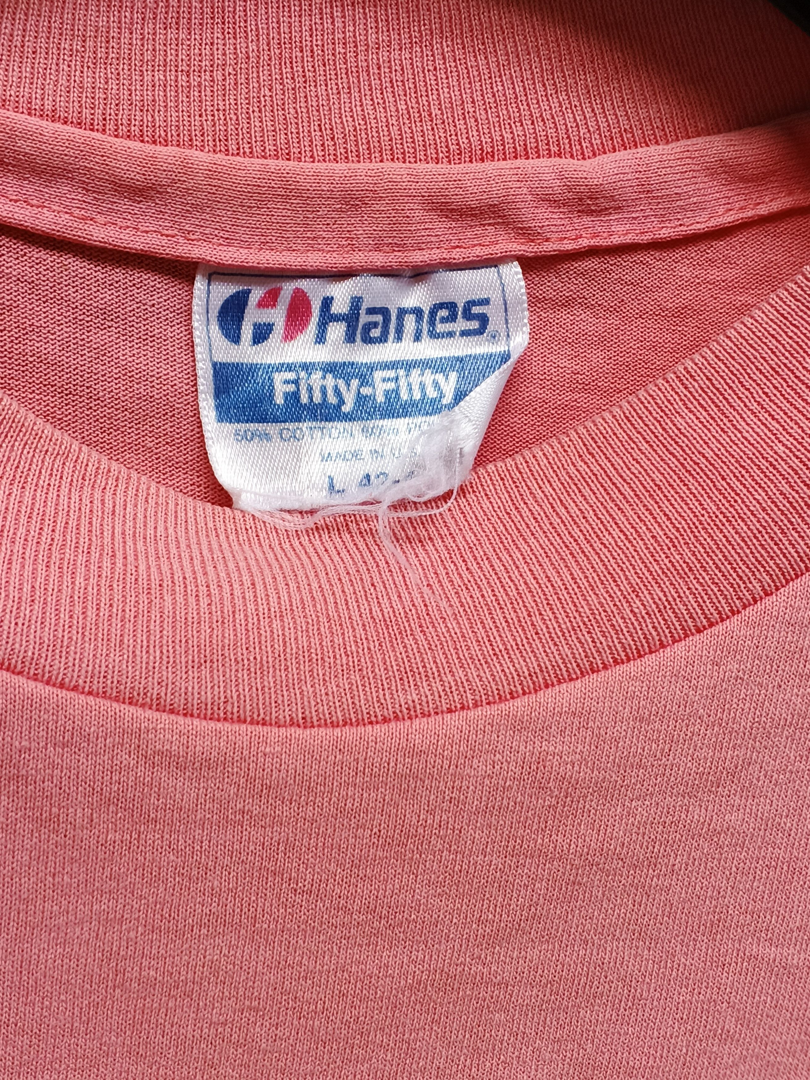 Vintage Vintage Hanes Santa Monica California Size US L / EU 52-54 / 3 - 3 Thumbnail