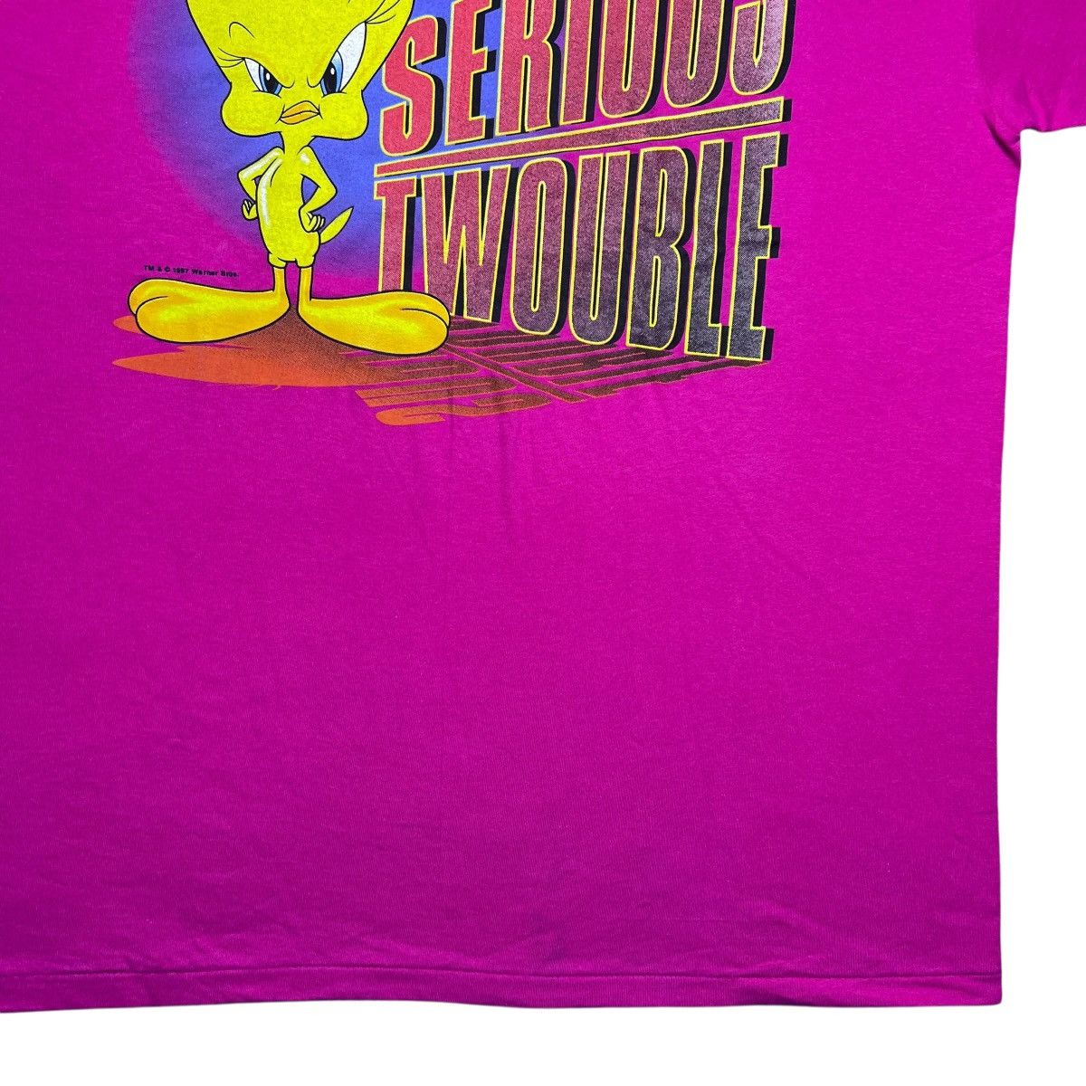 Warner Bros Vtg 1997 Looney Tunes Tweety Serious Twouble Colorado Tee Size US XL / EU 56 / 4 - 9 Thumbnail