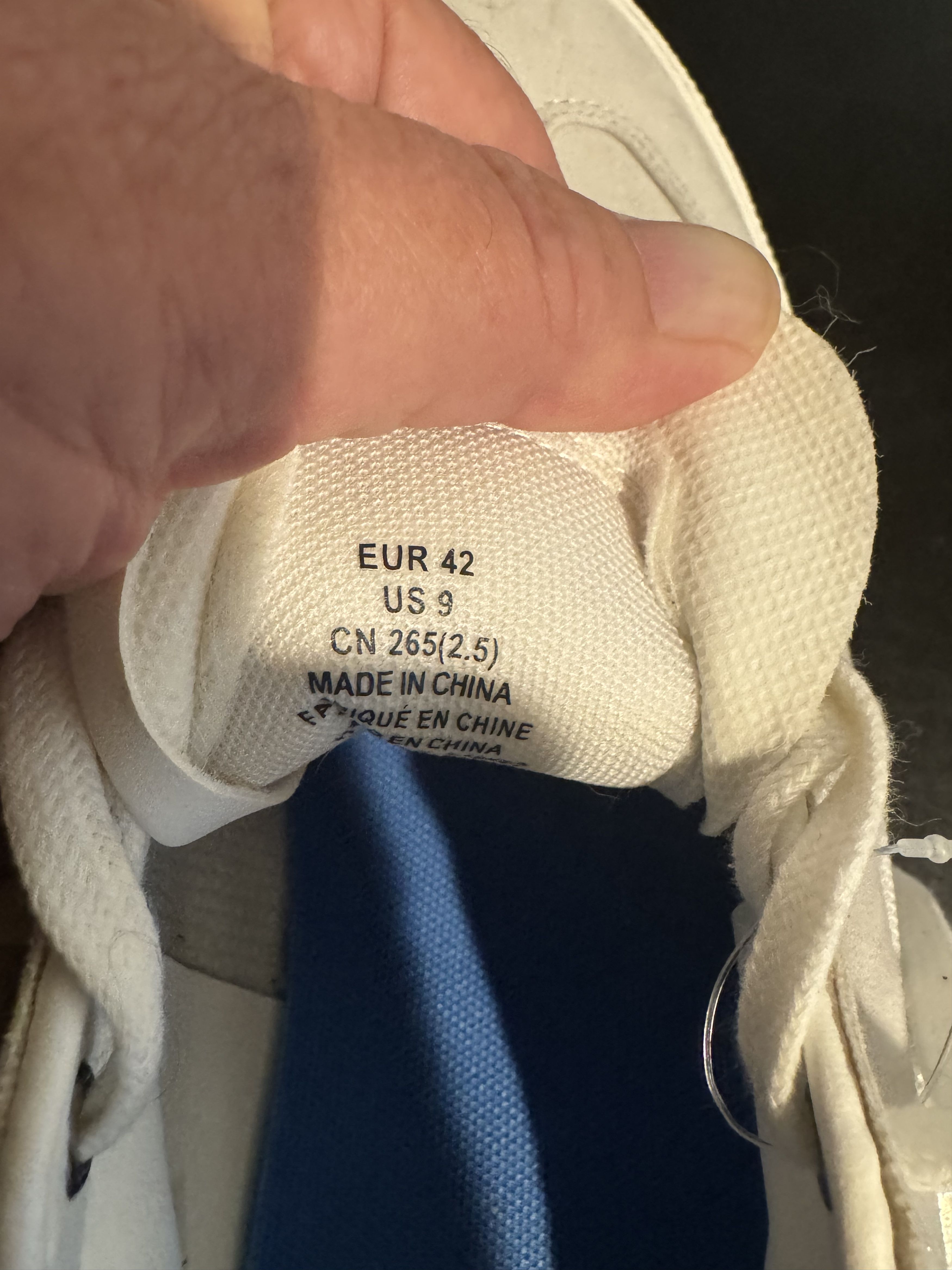 H&M H&M Low Top Sneakers Size US 9 / EU 42 - 2 Thumbnail