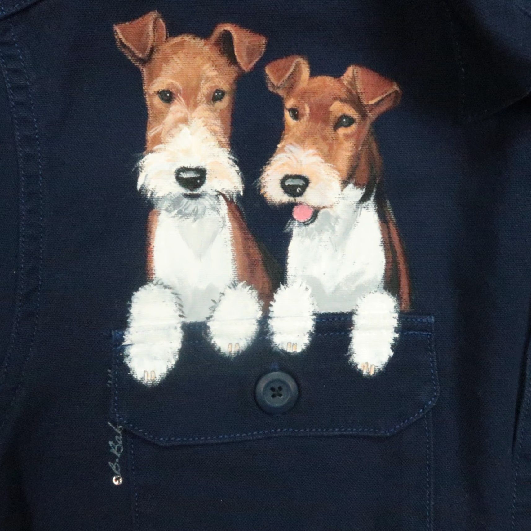 Patagonia Patagonia Shirt Men's Large Blue Long Sleeve Canvas Workwear Fox Terrier Custom Size US L / EU 52-54 / 3 - 5 Thumbnail