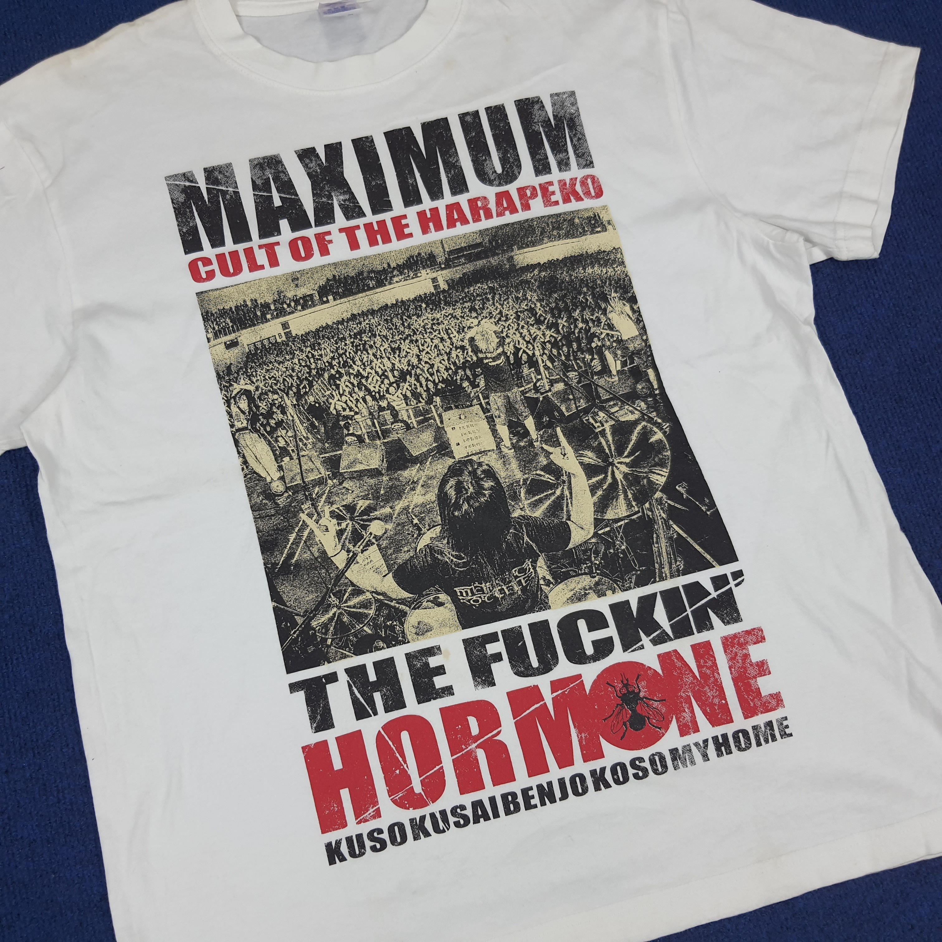Band Tees × Japanese Brand Vintage Maximum The Fucking Hormone Japan Band T-shirt Size US L / EU 52-54 / 3 - 2 Thumbnail