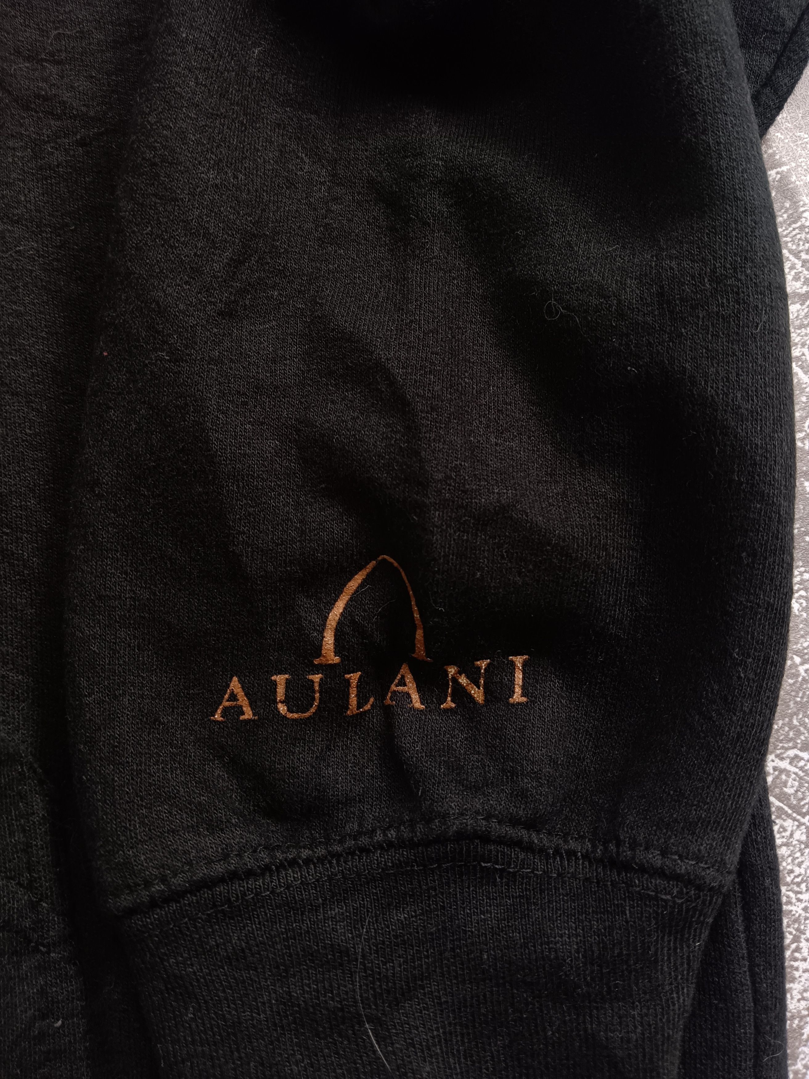Designer × Disney Aulani Disney Hawaii Hoodie Size US XL / EU 56 / 4 - 3 Thumbnail