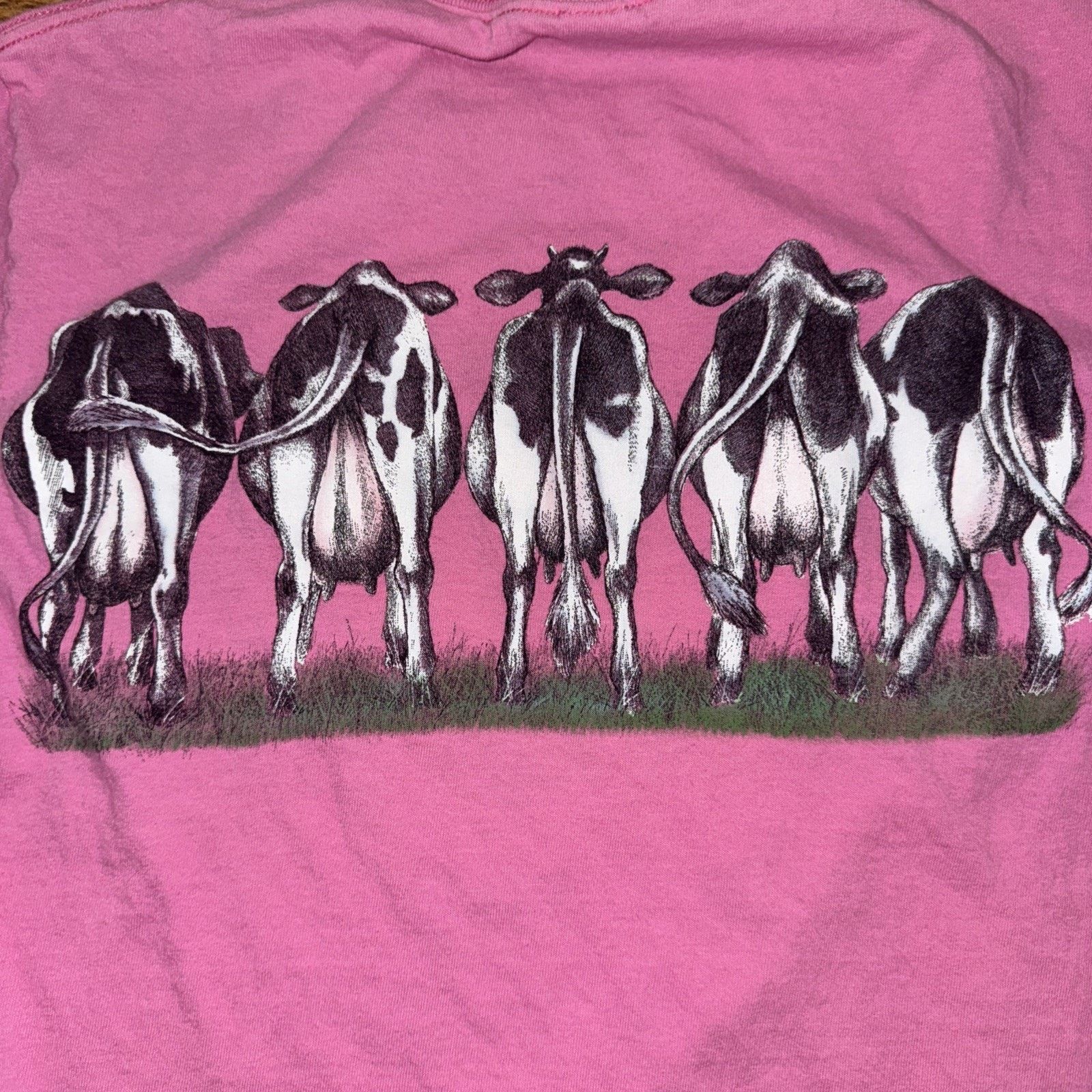 Band Tees Vintage Indiana Cow T-Shirt Small 17x25 Pink Double Sided Size US S / EU 44-46 / 1 - 4 Thumbnail