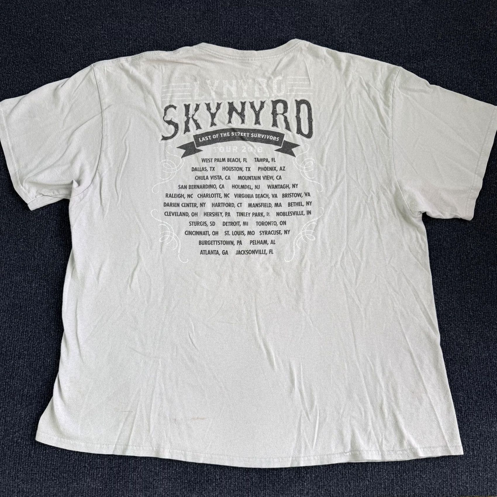 FREEBIRD Lynyrd Skynyrd Shirt Mens XL Gray Tour 2020 Graphic Band Tee T-Shirt Size US XL / EU 56 / 4 - 2 Thumbnail