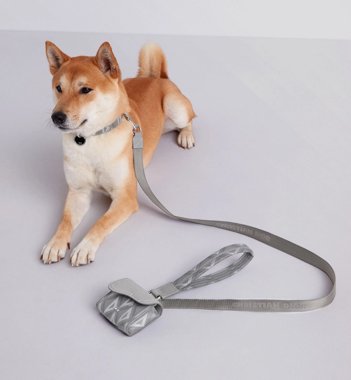 Dior o1bcso1str0126 Size: OS/Pet Leash in Grey Size ONE SIZE - 4 Thumbnail
