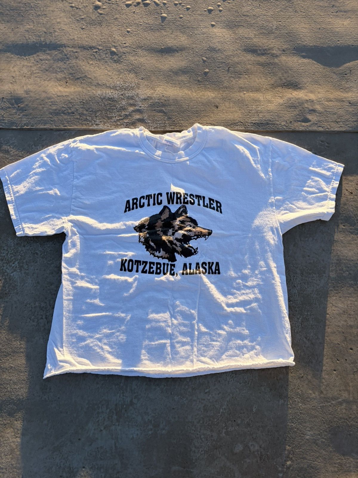 Vintage Wolf Crop Tee Size US M / EU 48-50 / 2 - 1 Thumbnail