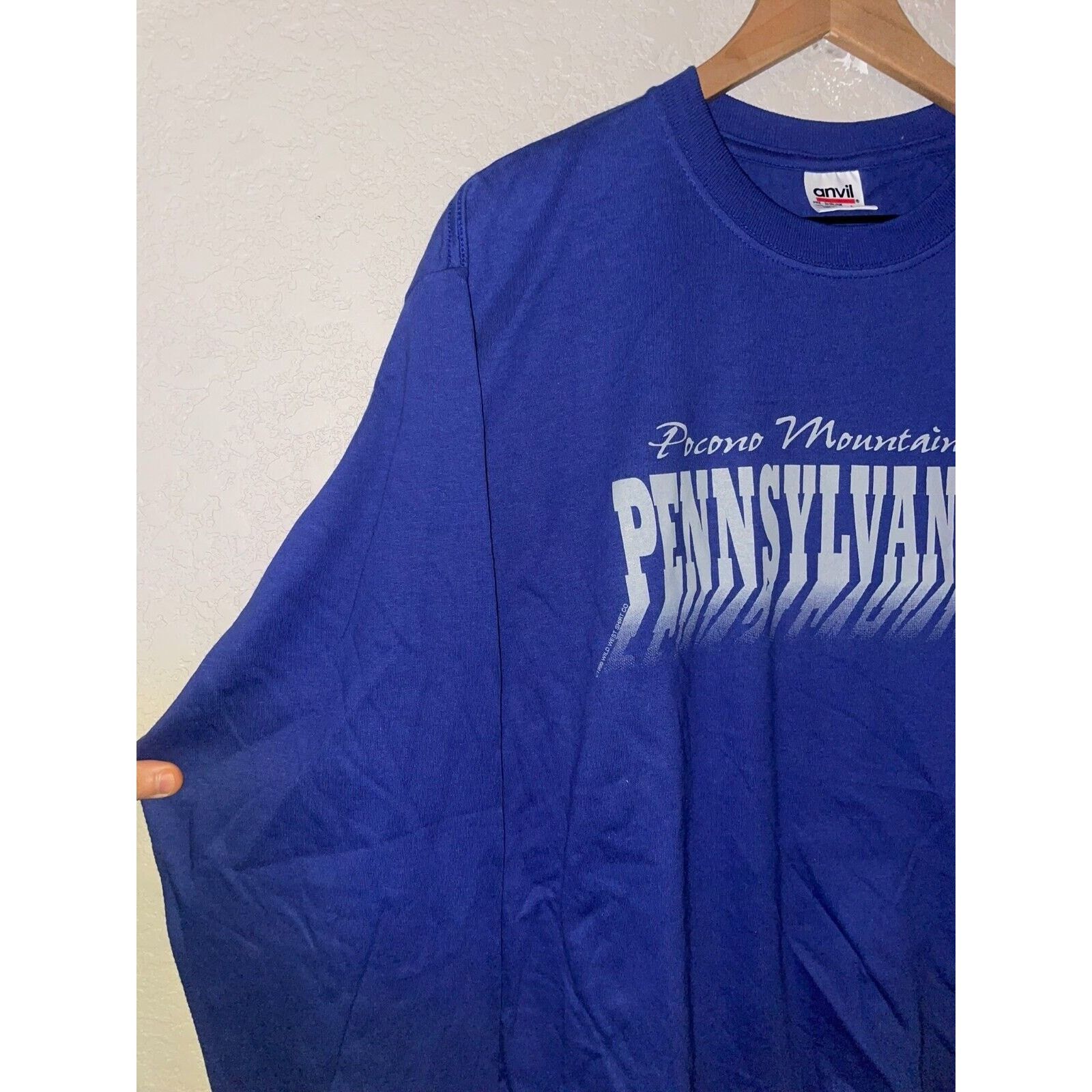 Anvil Vintage Pocono Mountains Long Sleeve Shirt Bear Tee 90s L Size US L / EU 52-54 / 3 - 7 Thumbnail