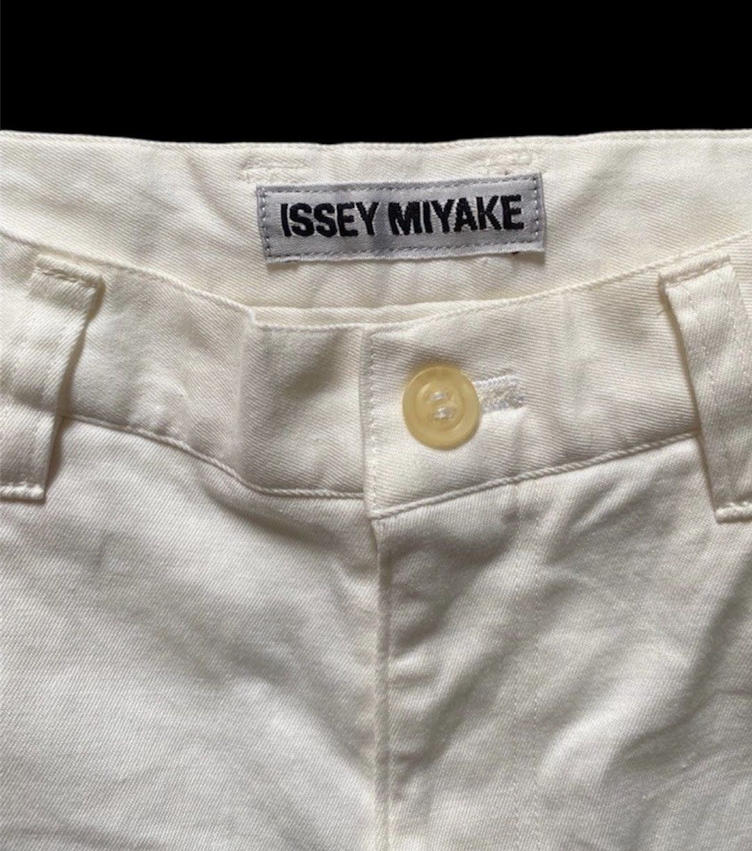 Designer × Issey Miyake ISSEY MIYAKE LONG PANTS Size US 30 / EU 46 - 4 Thumbnail