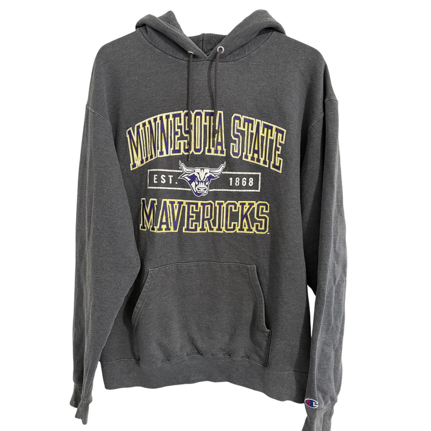 Champion Minnesota State Mankato Mavericks Hoodie Sweatshirt Size L Size US L / EU 52-54 / 3 - 1 Thumbnail