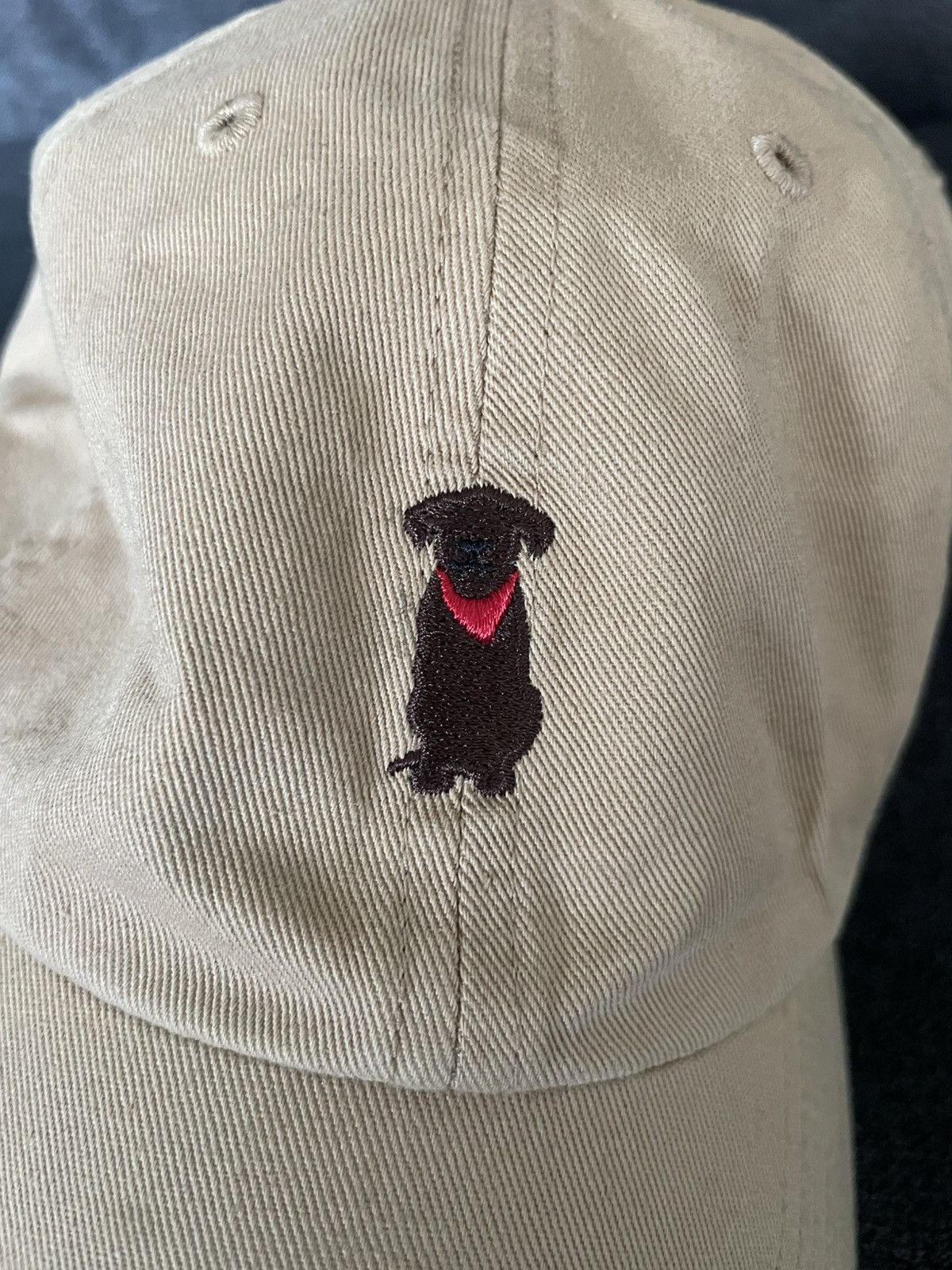 47 Brand Chocolate lab 47 brand hat Size ONE SIZE - 2 Thumbnail
