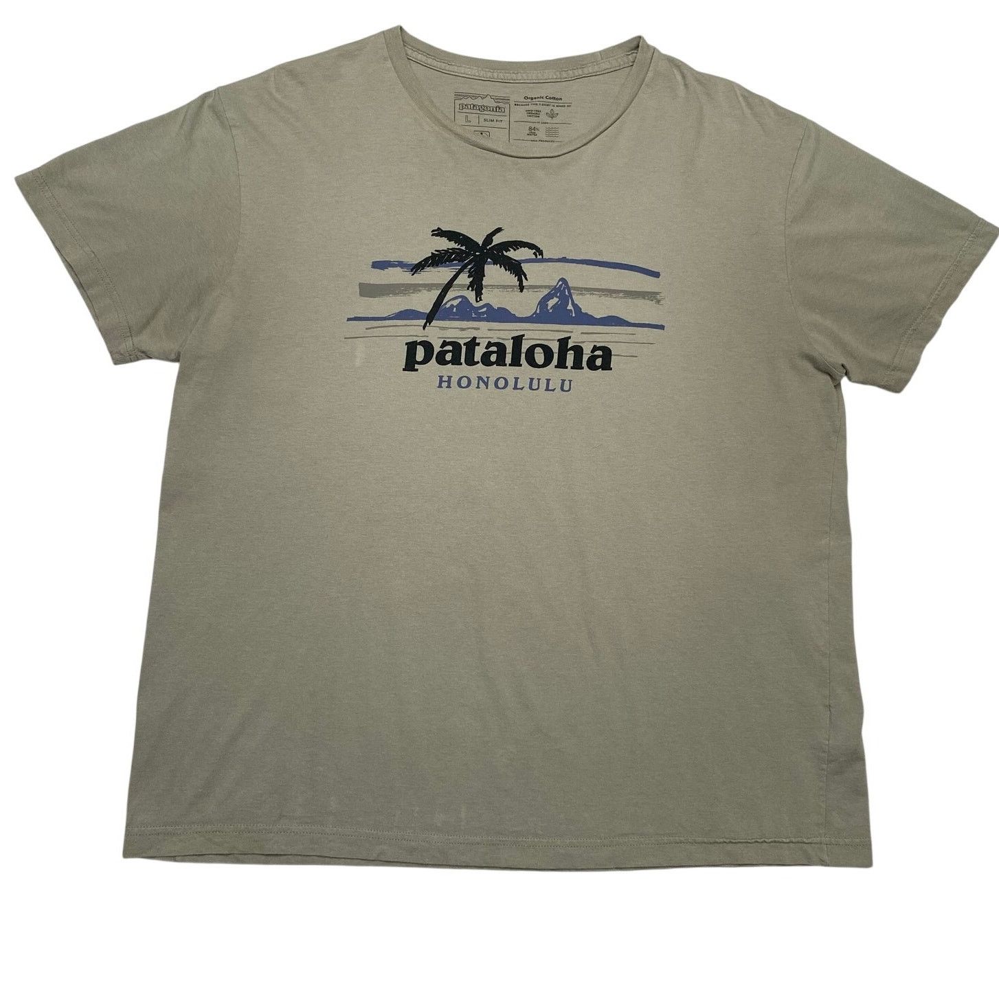 Arc'teryx × KAVU × Patagonia Patagonia Pataloha Honolulu T Shirt