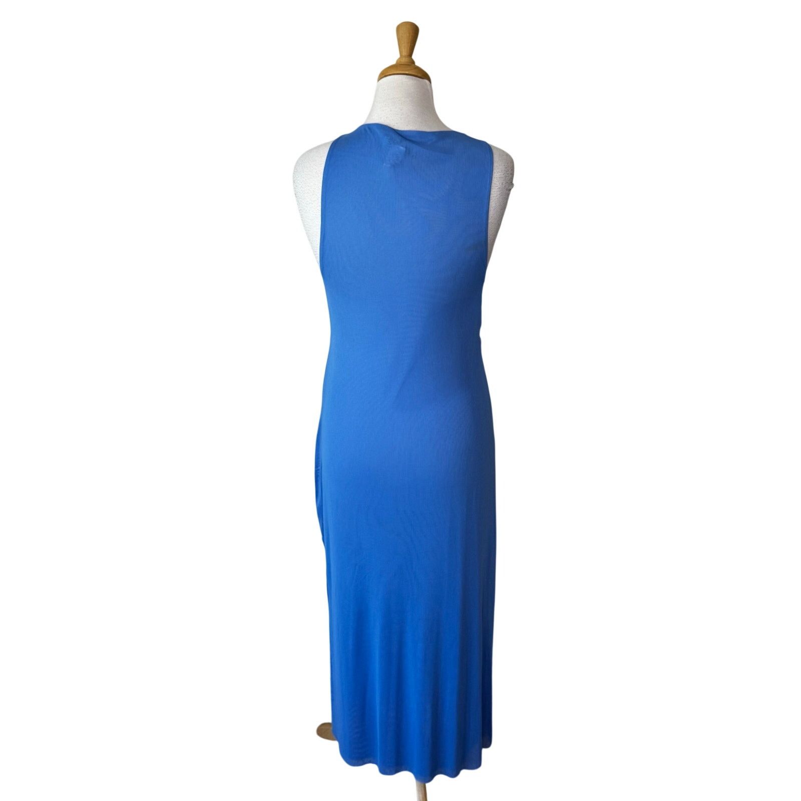 CAROLINE CONSTAS Caroline Constas sheer sleeveless maxi beach cover up blue Size ONE SIZE - 2 Thumbnail