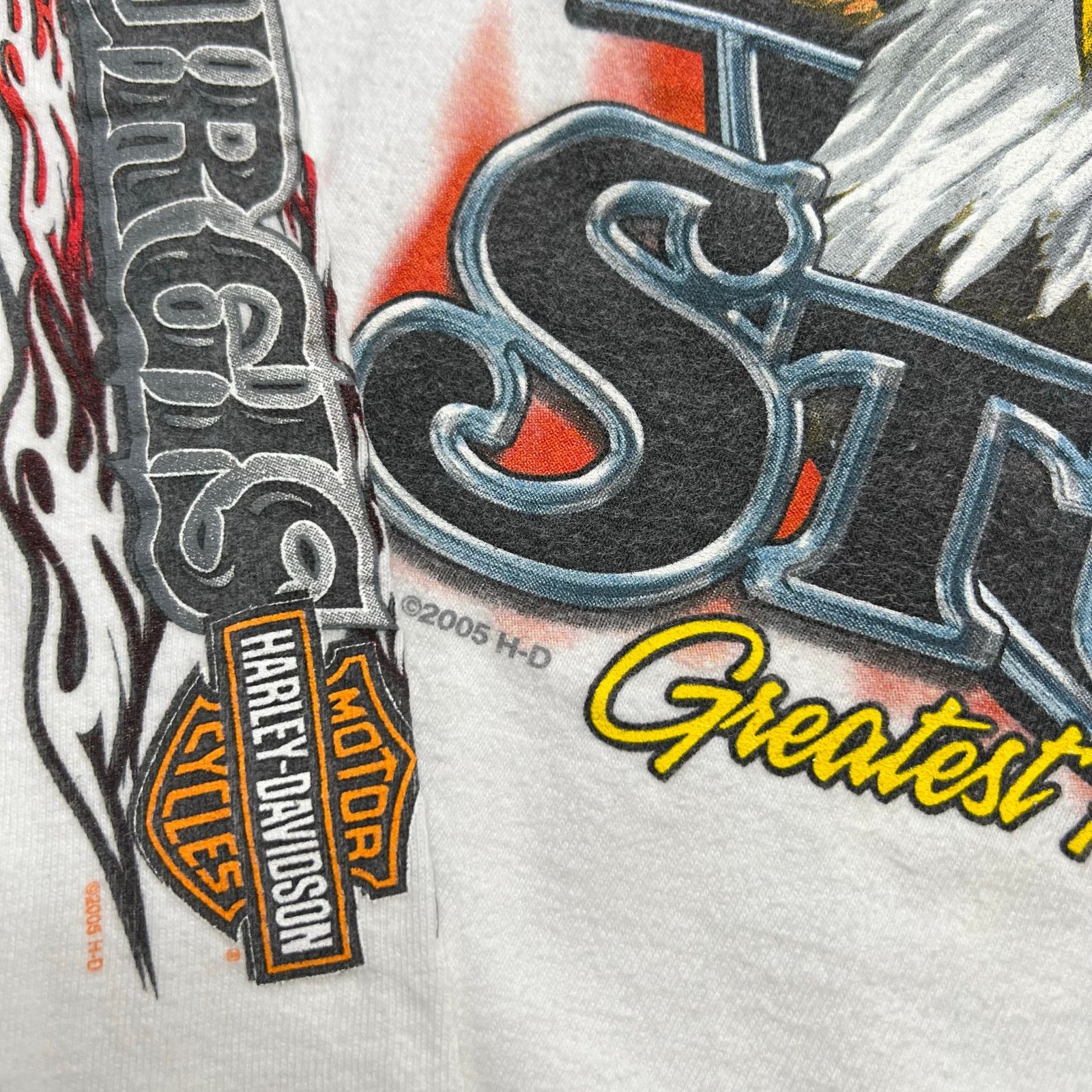 Harley Davidson Vintage Harley Davidson Eagle Flames Sturgis Long Sleeve XL Size US XL / EU 56 / 4 - 10 Thumbnail