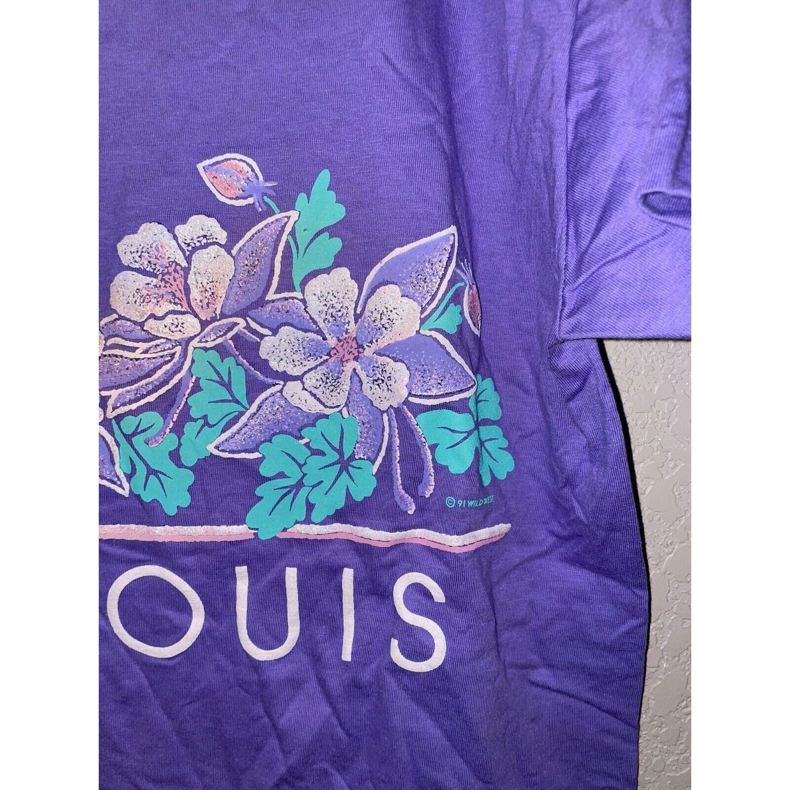 Jerzees Vintage St. Louis Shirt Tee Tennesee Smoky VTG M 90s Size US M / EU 48-50 / 2 - 5 Thumbnail