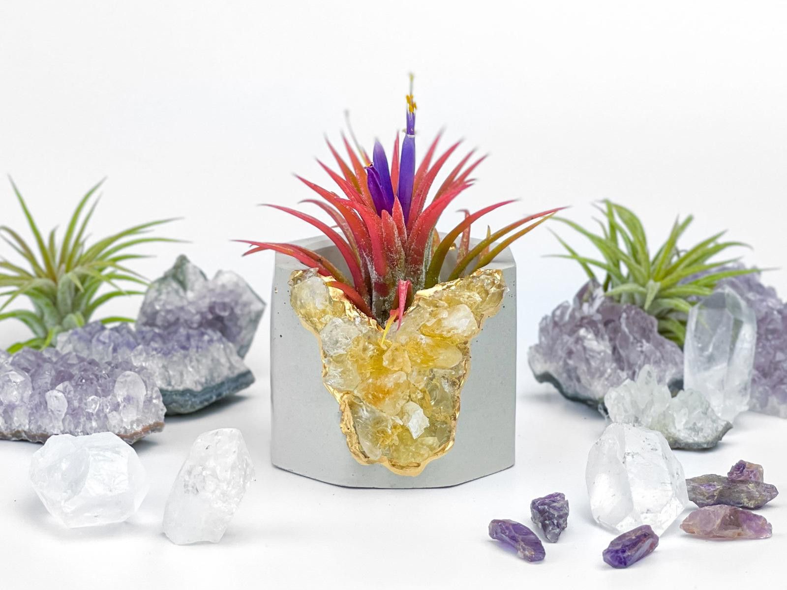 Other Raw Citrine Succulent Geode Planter Crystal Air Plant Holder Size ONE SIZE - 2 Thumbnail