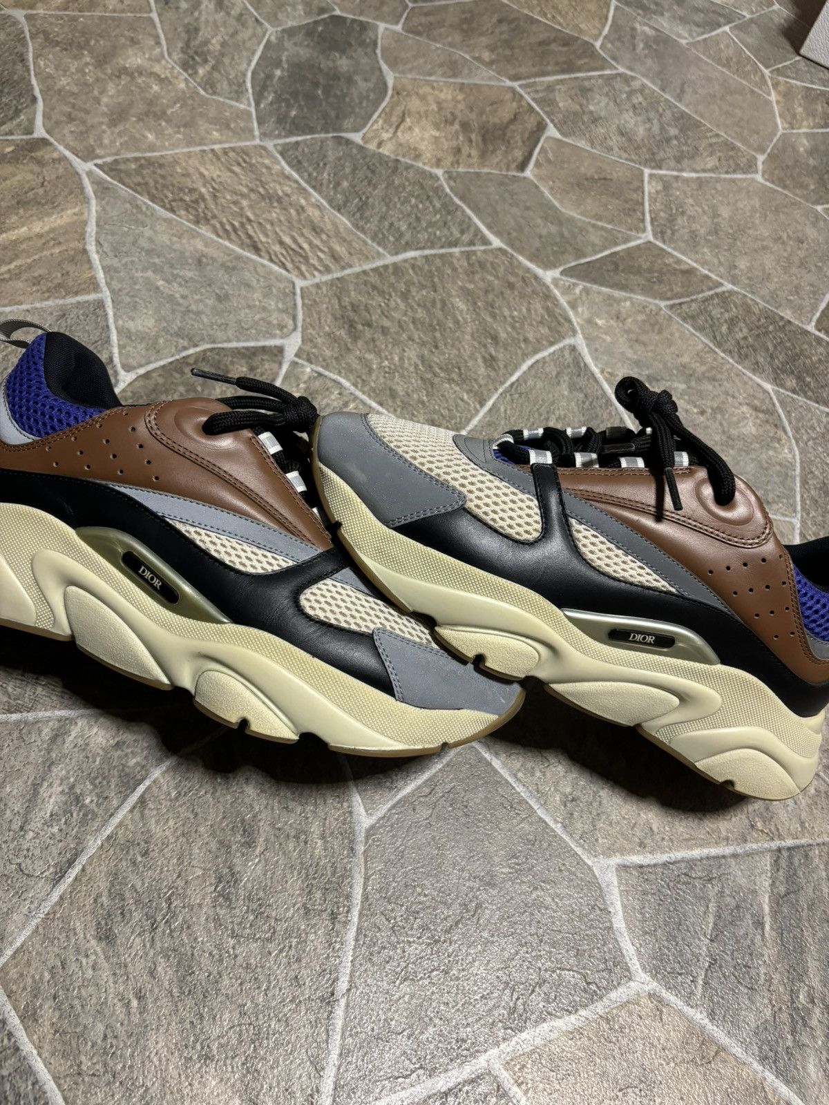 Dior B22 Coffee Violet