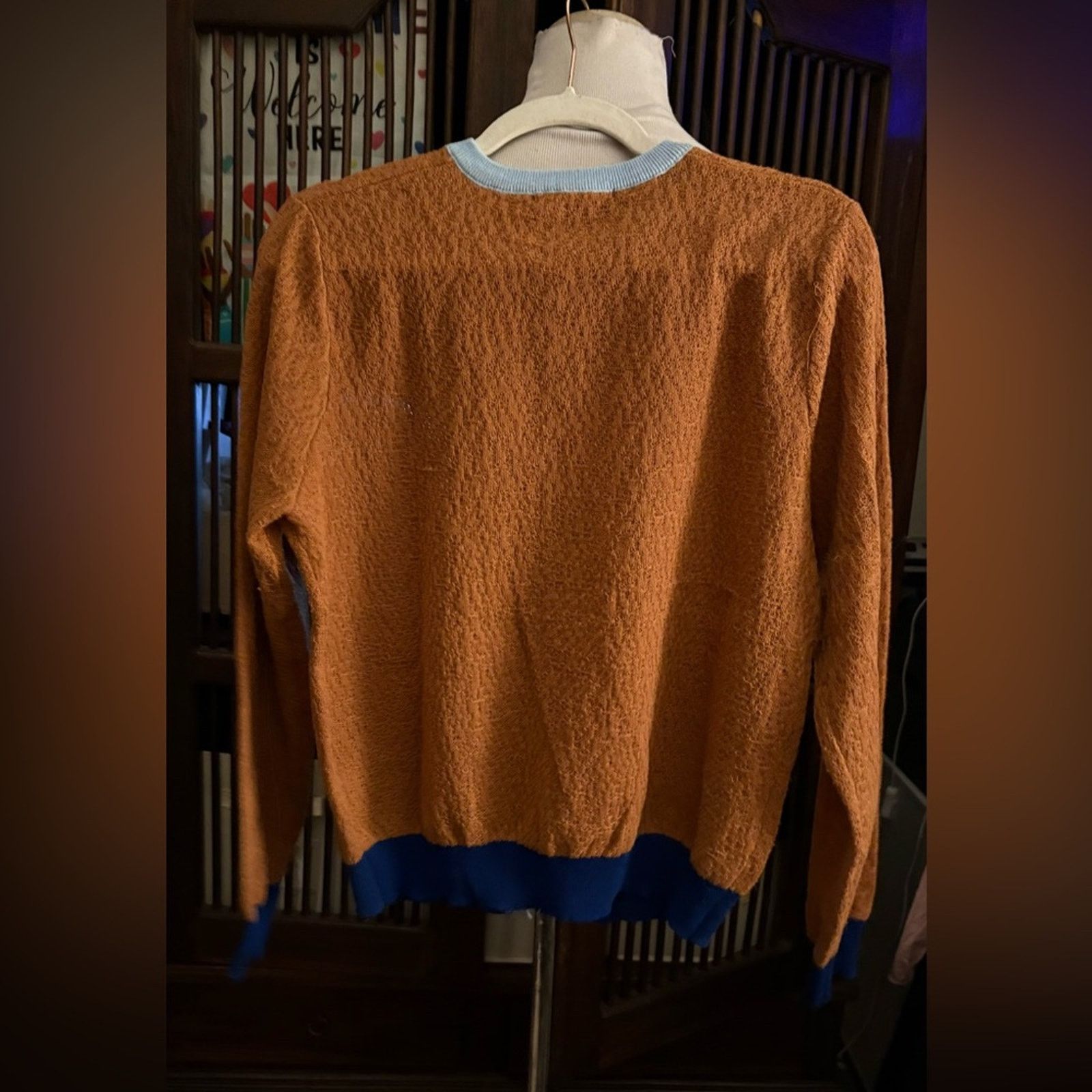 Zara NWT-Zara Brown Knit Cardigan with Blue Buttons Size L / US 10 / IT 46 - 5 Thumbnail