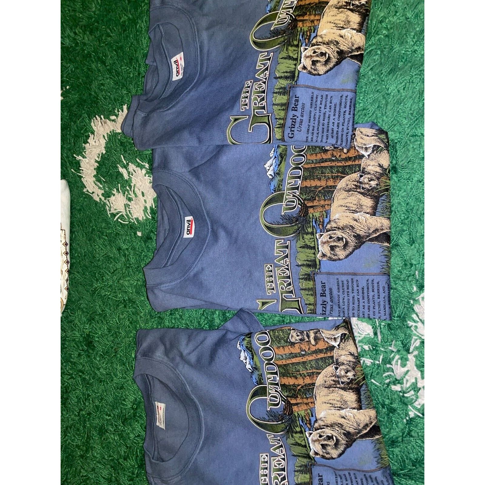 Anvil Vintage Gatlinburg Shirt The Great Outdoors Grizzly Bear Tee Size US M / EU 48-50 / 2 - 12 Thumbnail