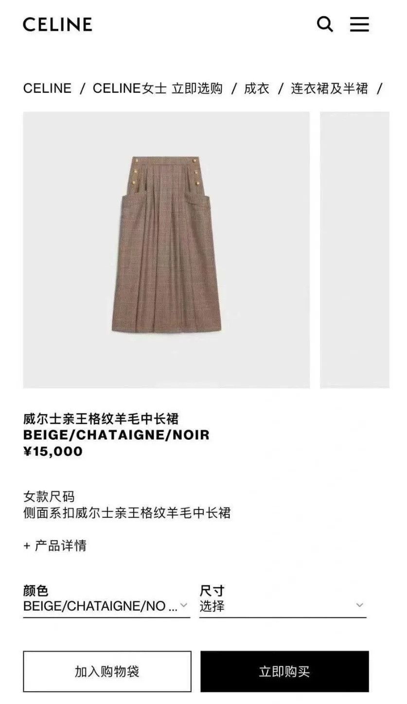 Celine Celine Wales Check Triomphe Gold Buckle Wool Skirt Size US S / EU 44-46 / 1 - 6 Thumbnail