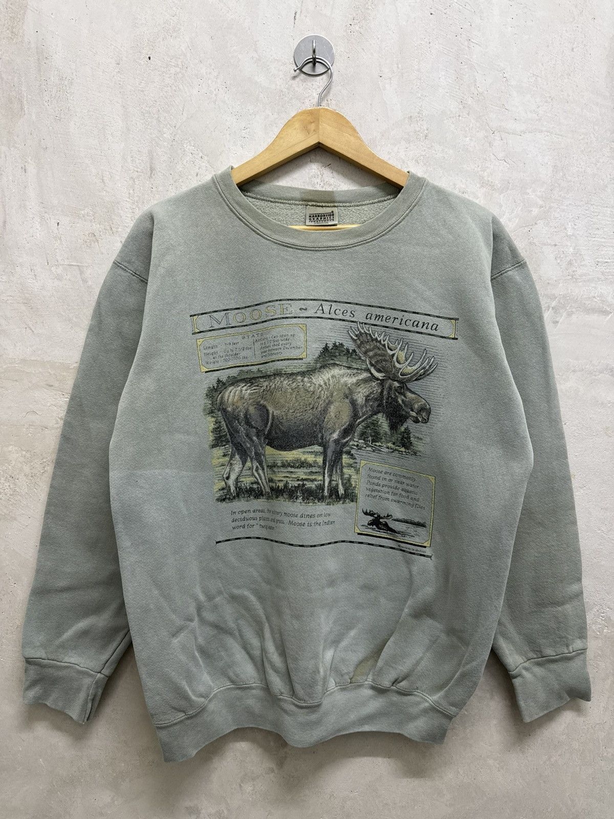 Vintage Sun Faded Moose Thrashed Sweatshirt Size US M / EU 48-50 / 2 - 1 Thumbnail